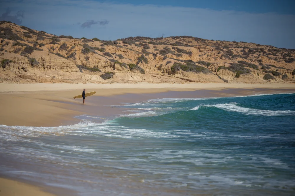 CONTEMPLATING WAVES.