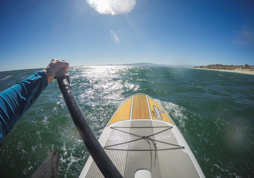 Paddling on our last morning in town.