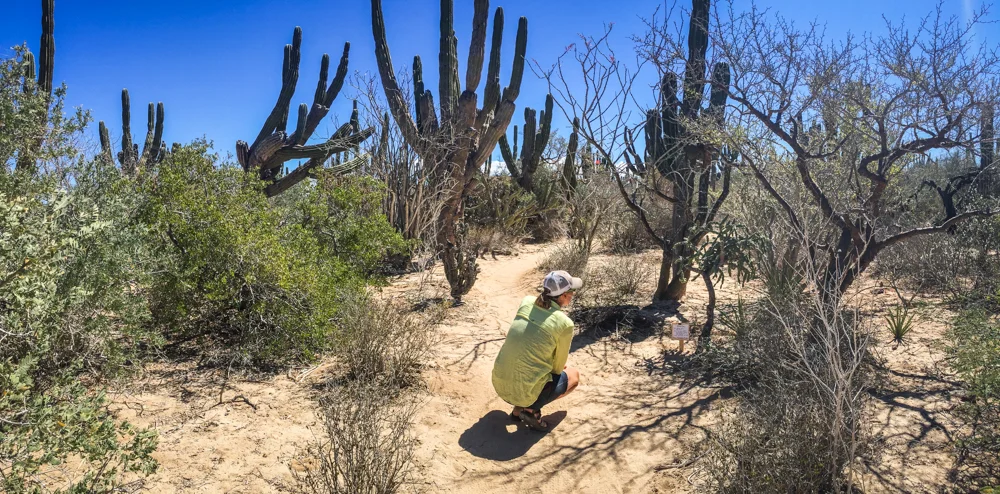 Checking out some of the interpretive signs on the nature trail.