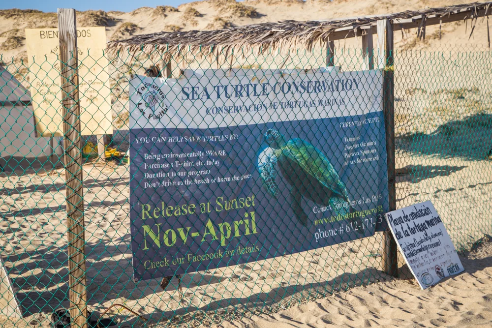 The sea turtle sancutary was a simple affair.