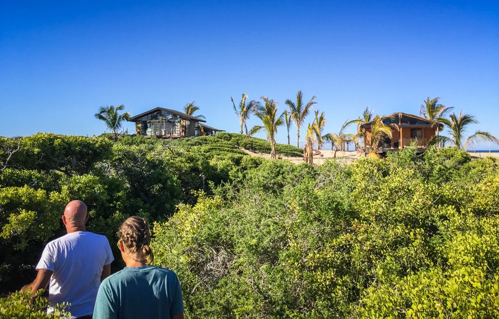 Walking through the Mangroves to his house for a property tour.