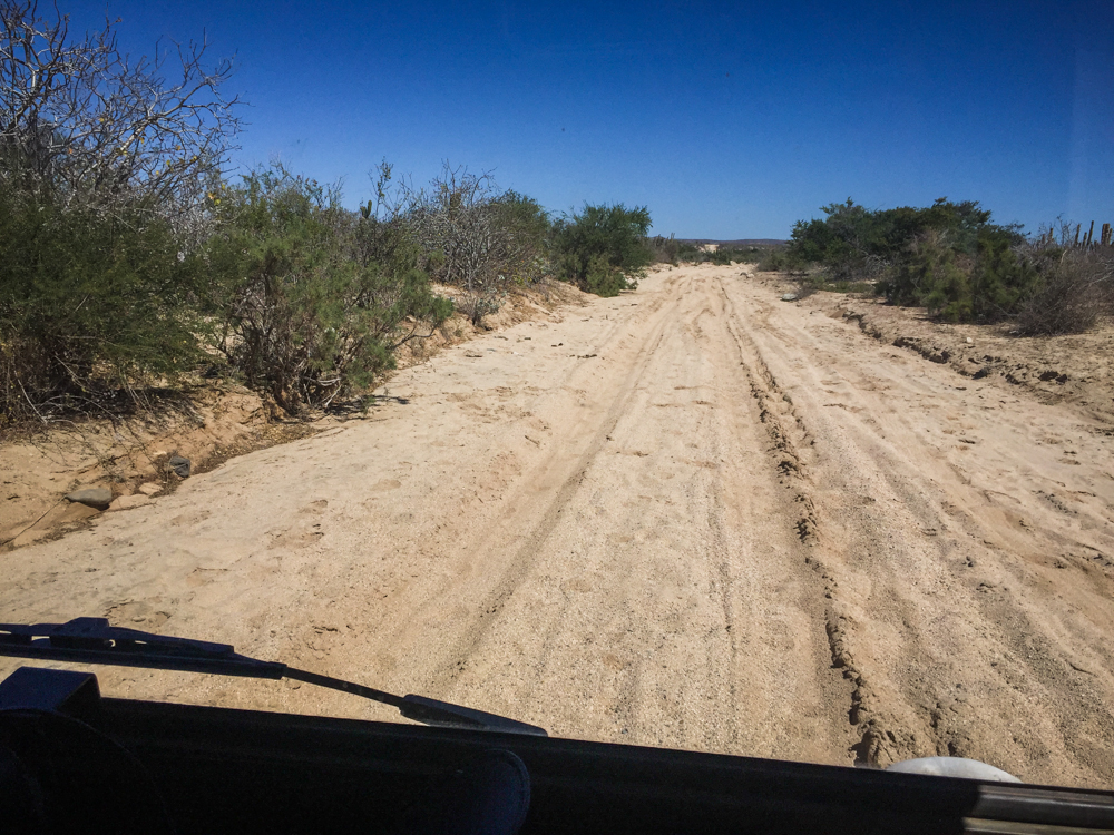 Driving on a beautiful sandy road without much of a clutch! 
