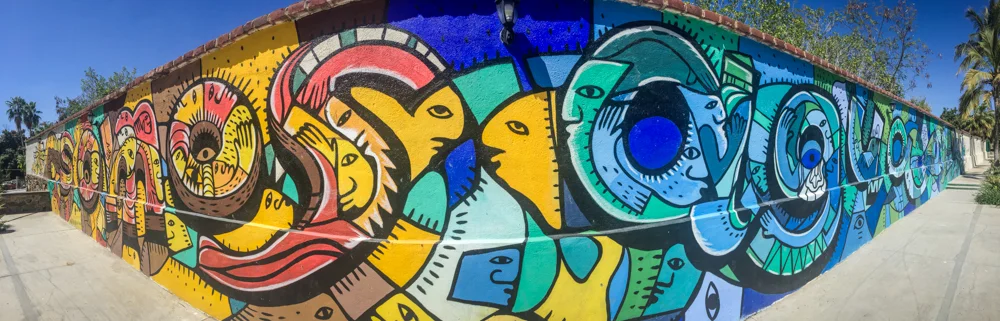 Some beautiful street art in Todos Santos.