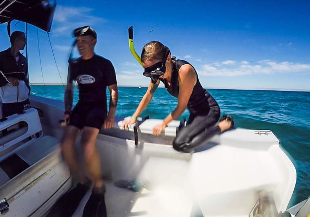 Climbing back in with fins and a bum back was difficult!
