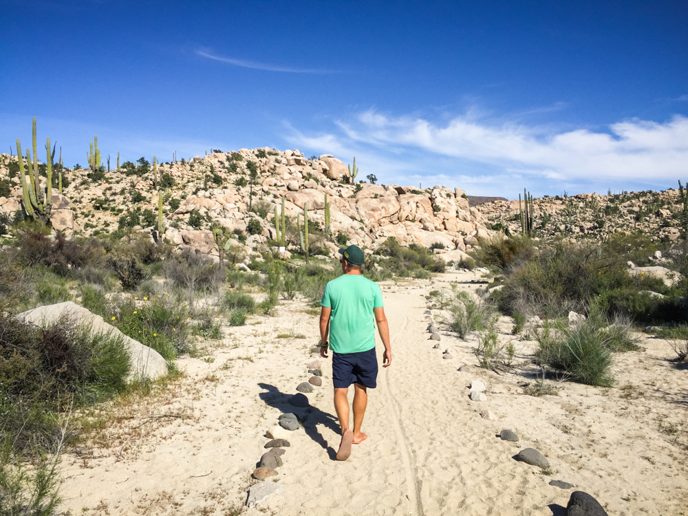 The interpretive trail was deserted but well signed and obviously planned.