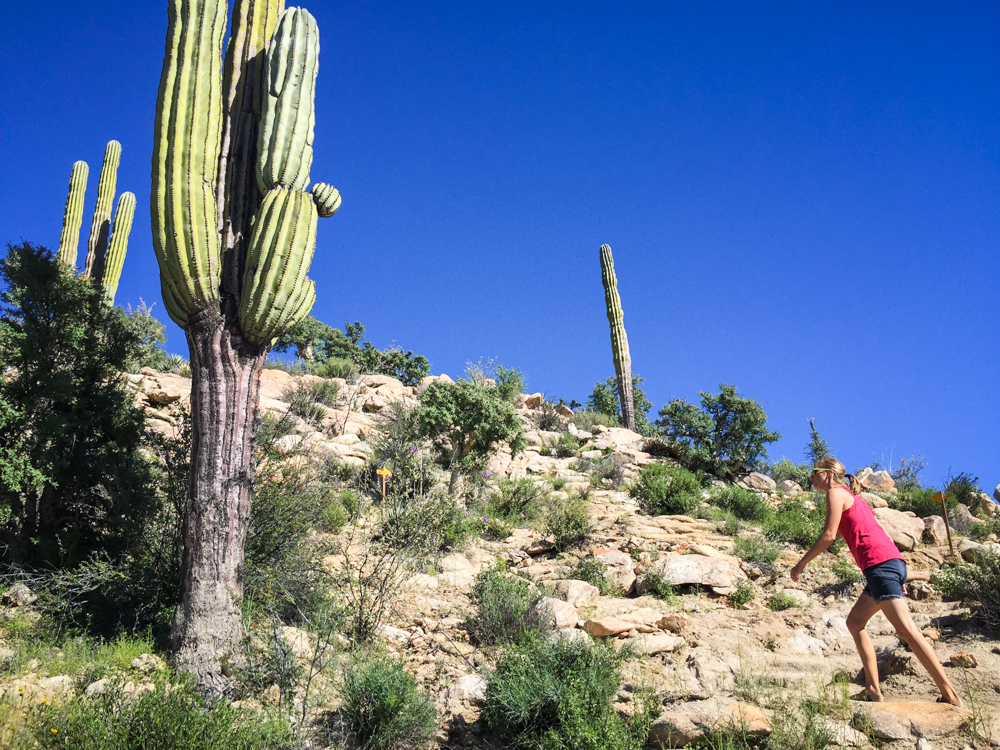 The trail led us down into a valley, across and arroyo, and up a hill.