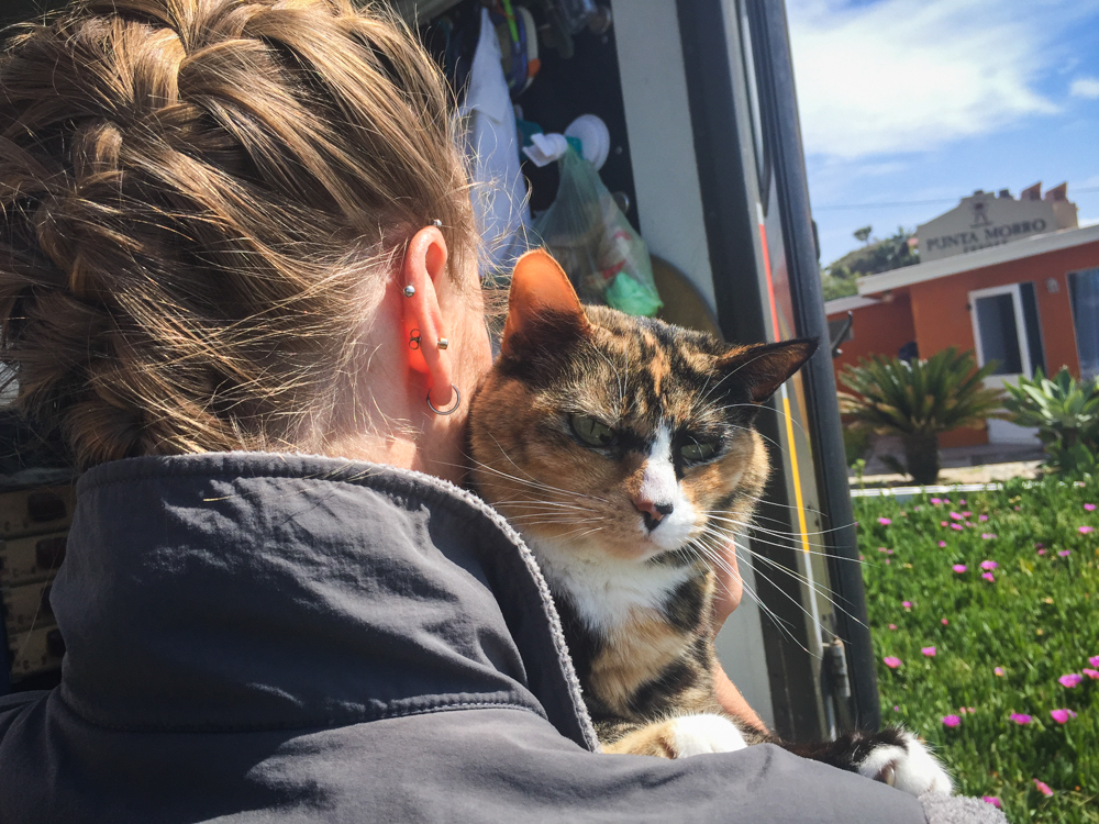 Loulou, who was still living in the rig while I recovered inside the house, was a highly motivating factor behind my frequent walks.