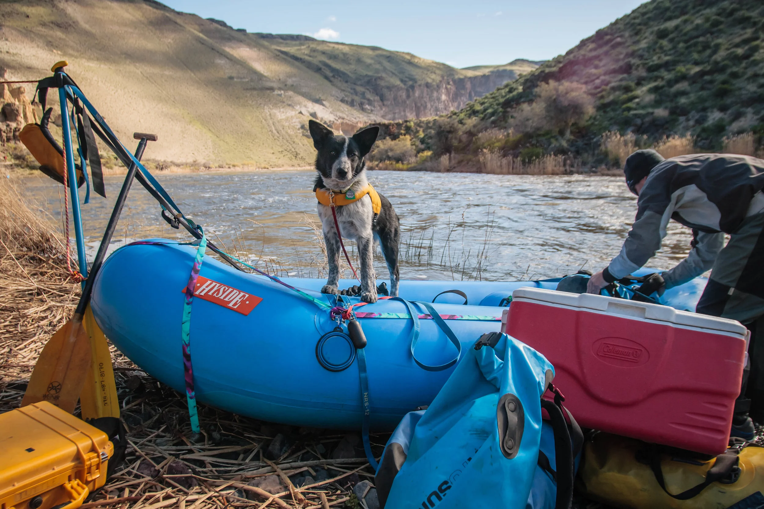 The third day, Gracie all loaded up and ready to hit the water as if she was born to be a rafting dog!