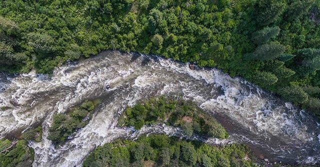 It almost feels wrong to post a photo from my day with some arbitrary comment about rivers and beauty, so I&rsquo;m not going to. 
I drove up and down a favorite stretch of road today, beside a section of river that I&rsquo;ll never have the guts to 