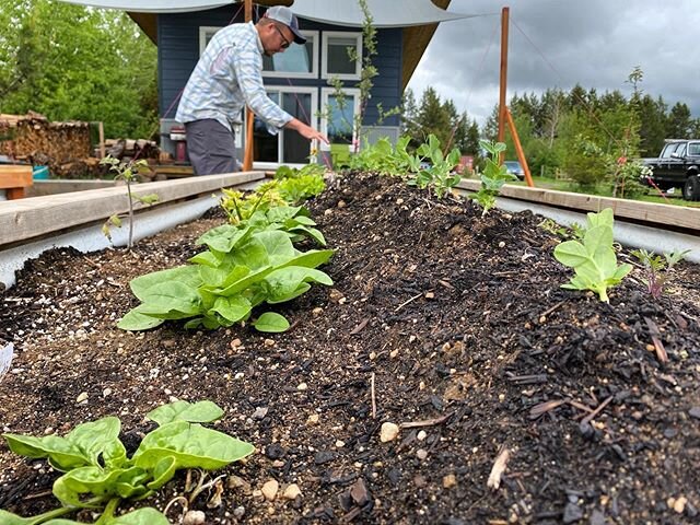 Grow garden, grow!