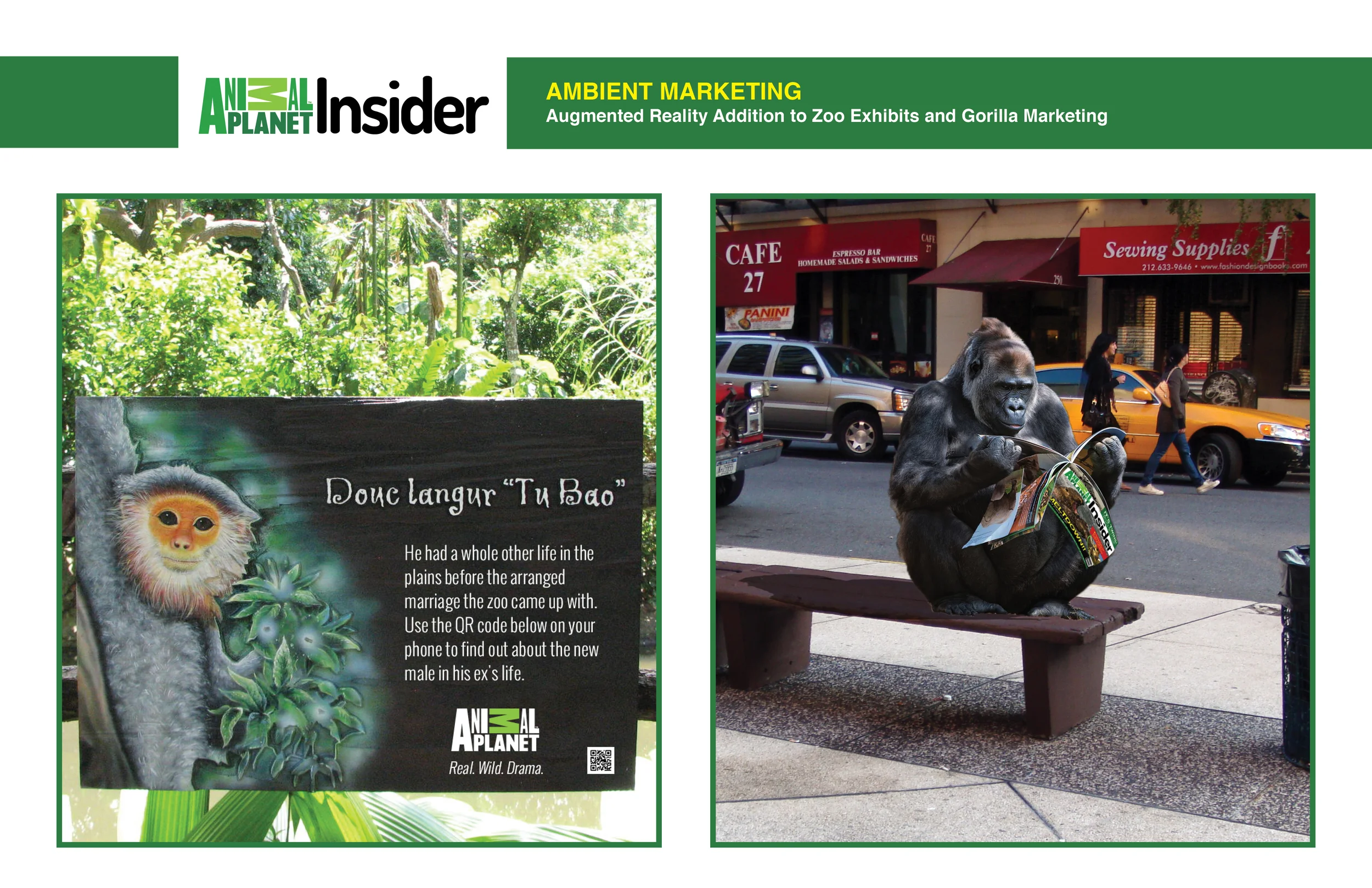 AMBIENT MARKETING