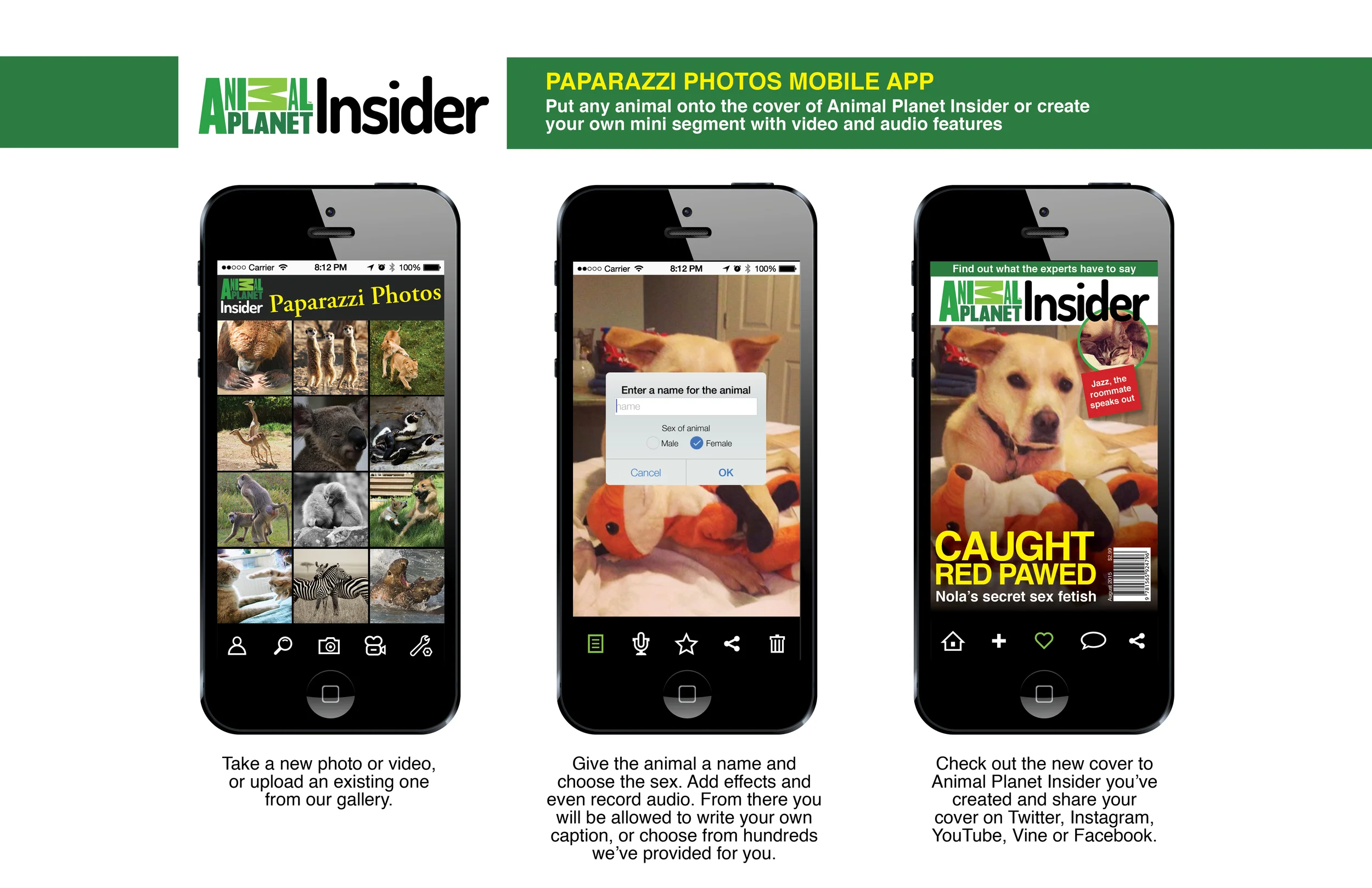MOBILE APP