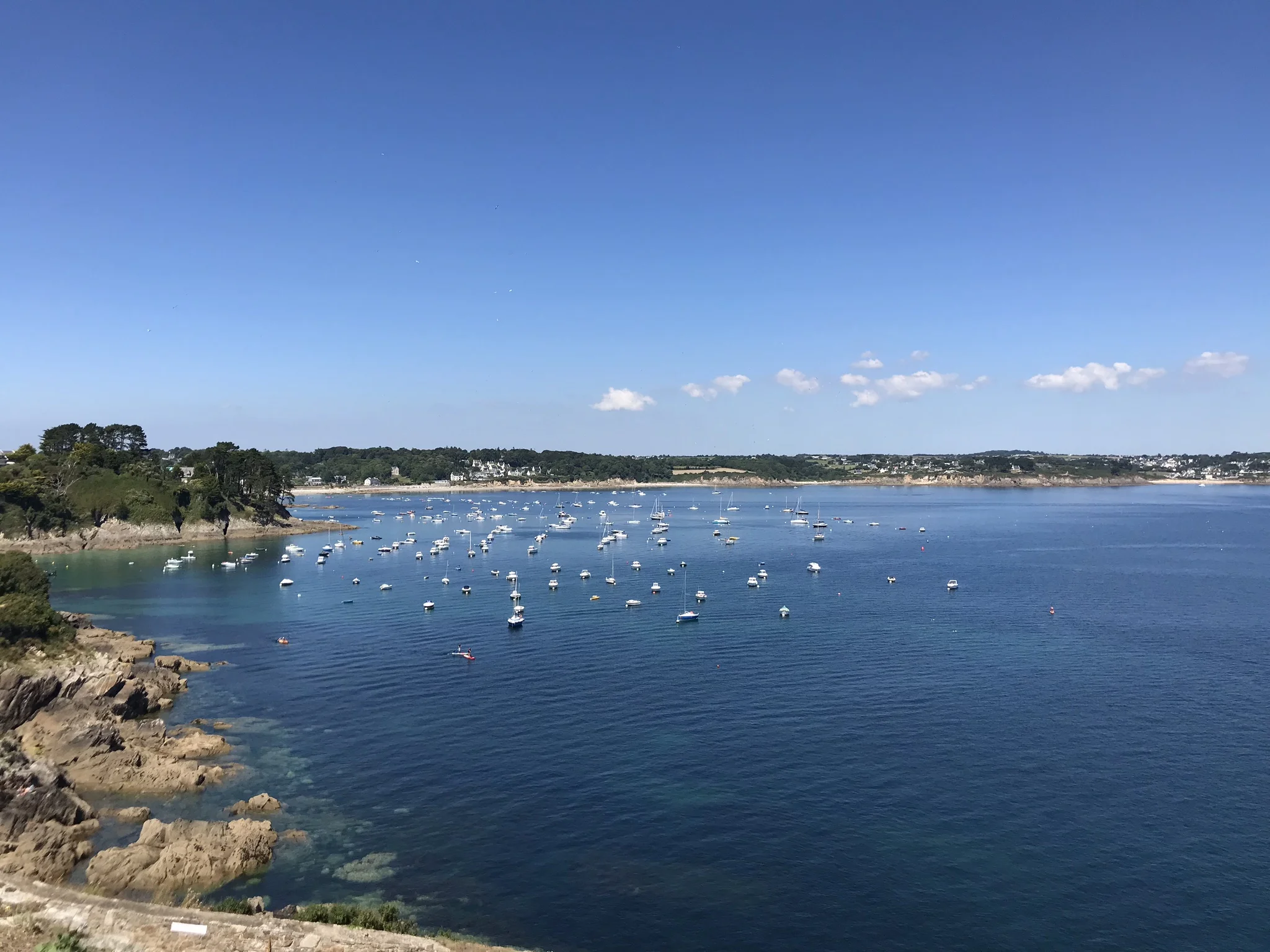 IMG_1602.jpeg