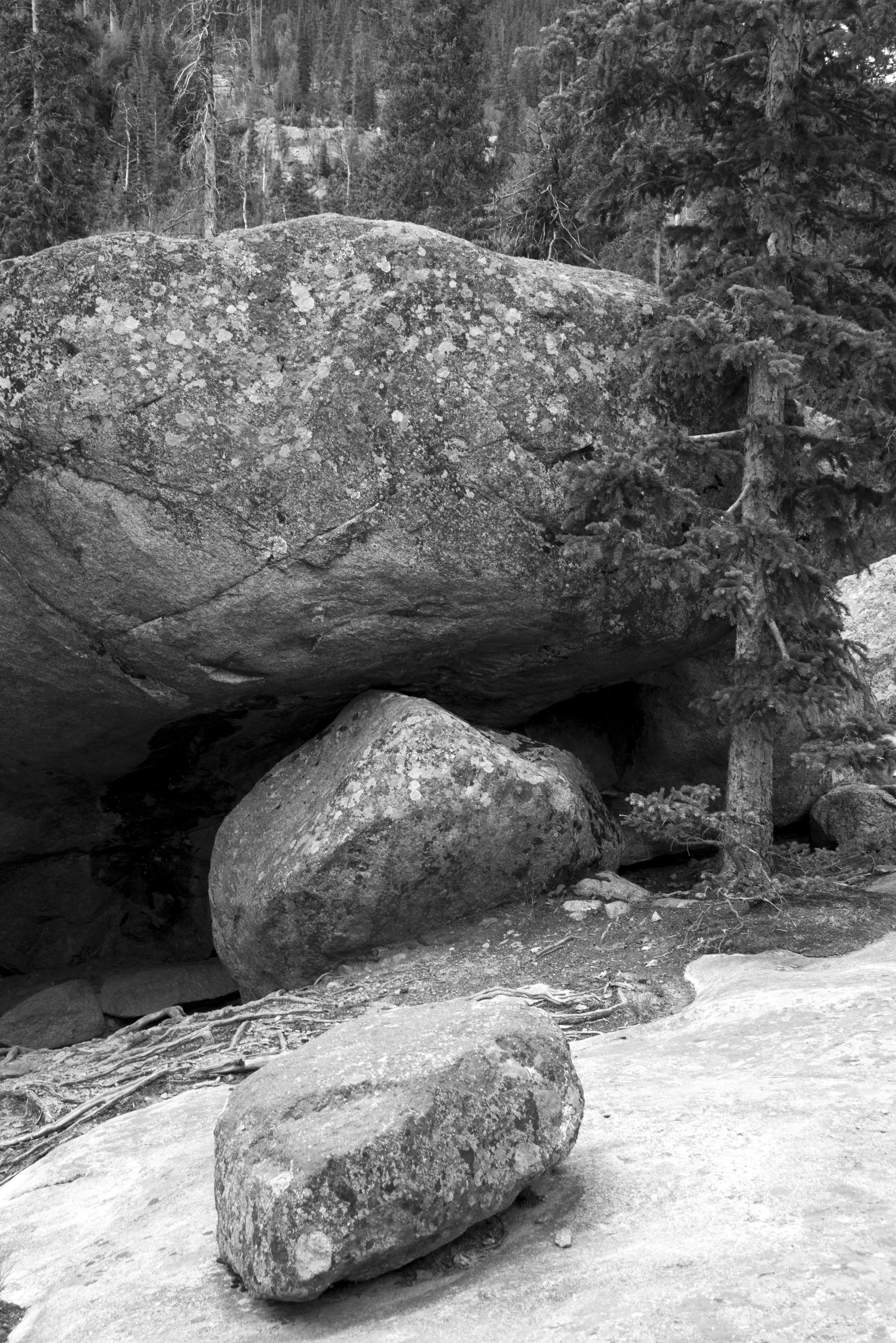 _DSC1343.jpg