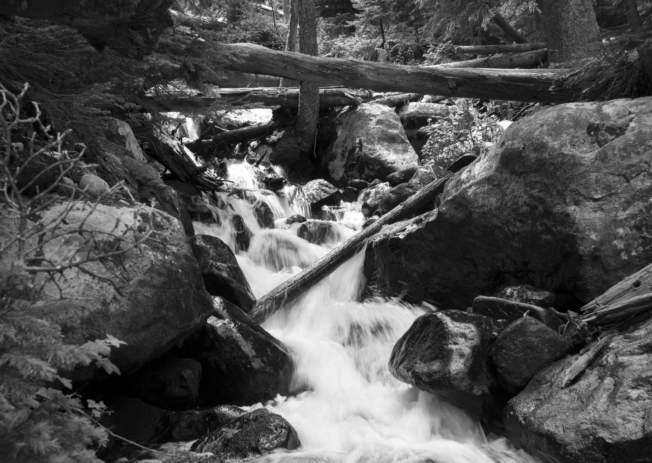 _DSC1395.jpg