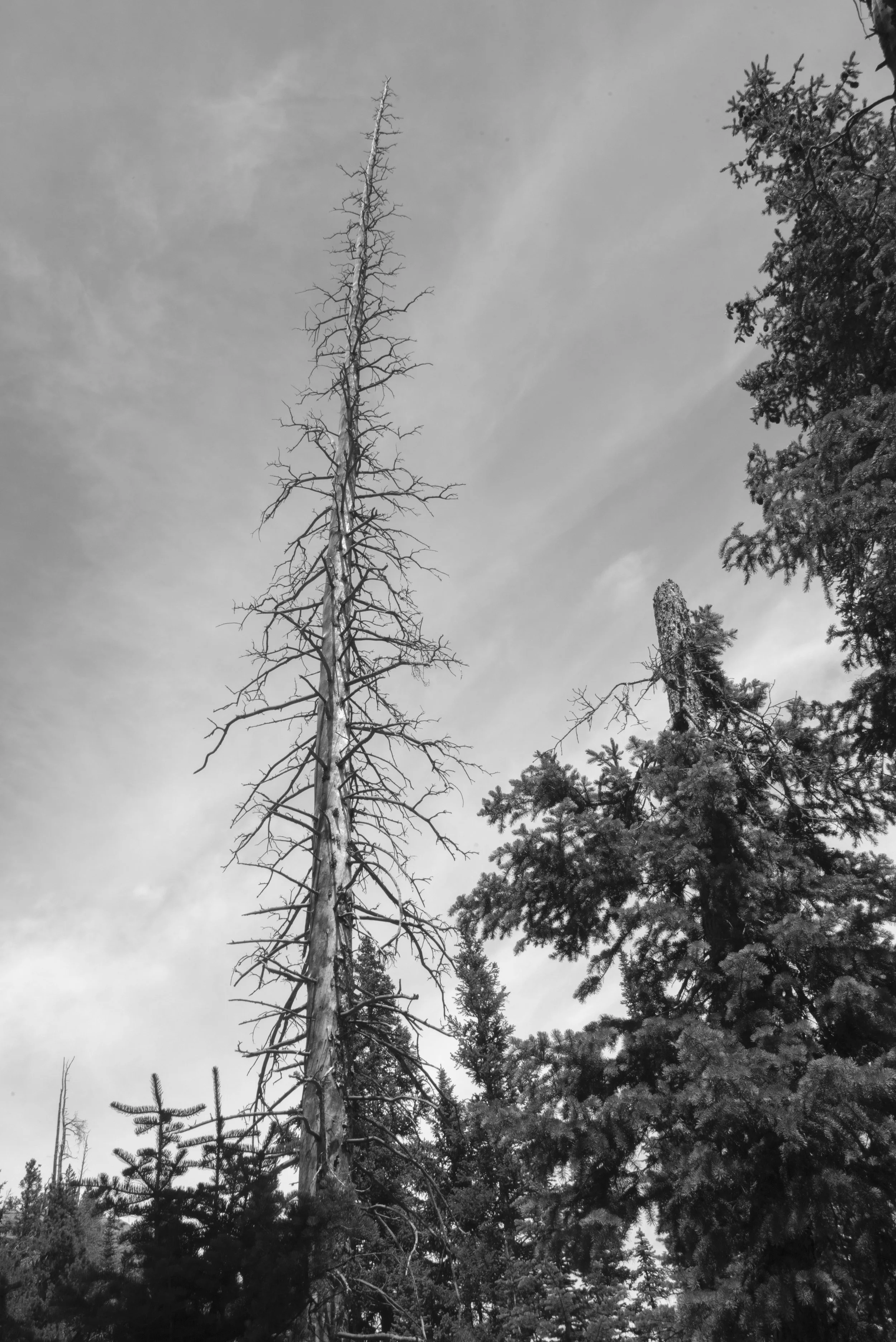_DSC1432.jpg