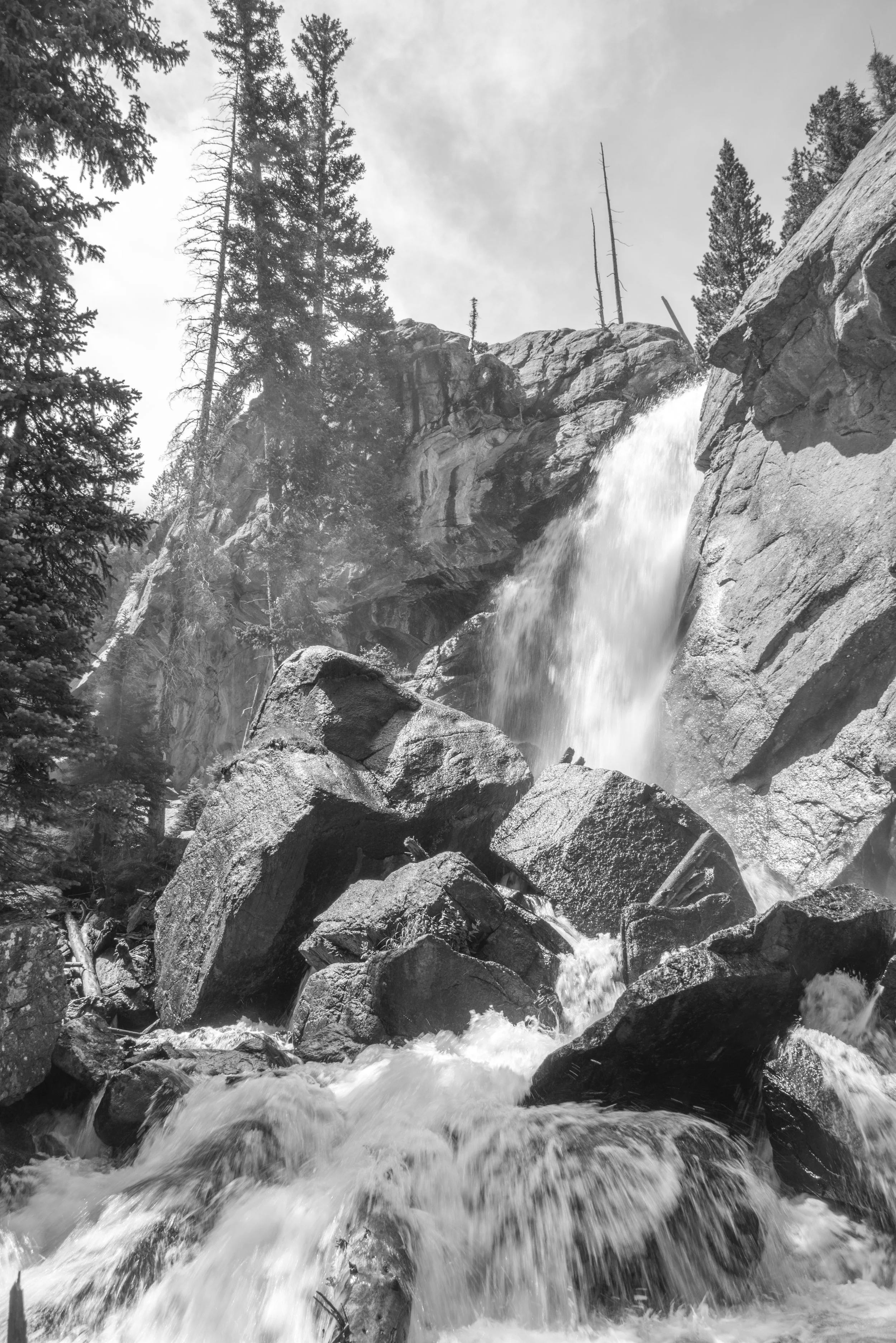 _DSC1495.jpg