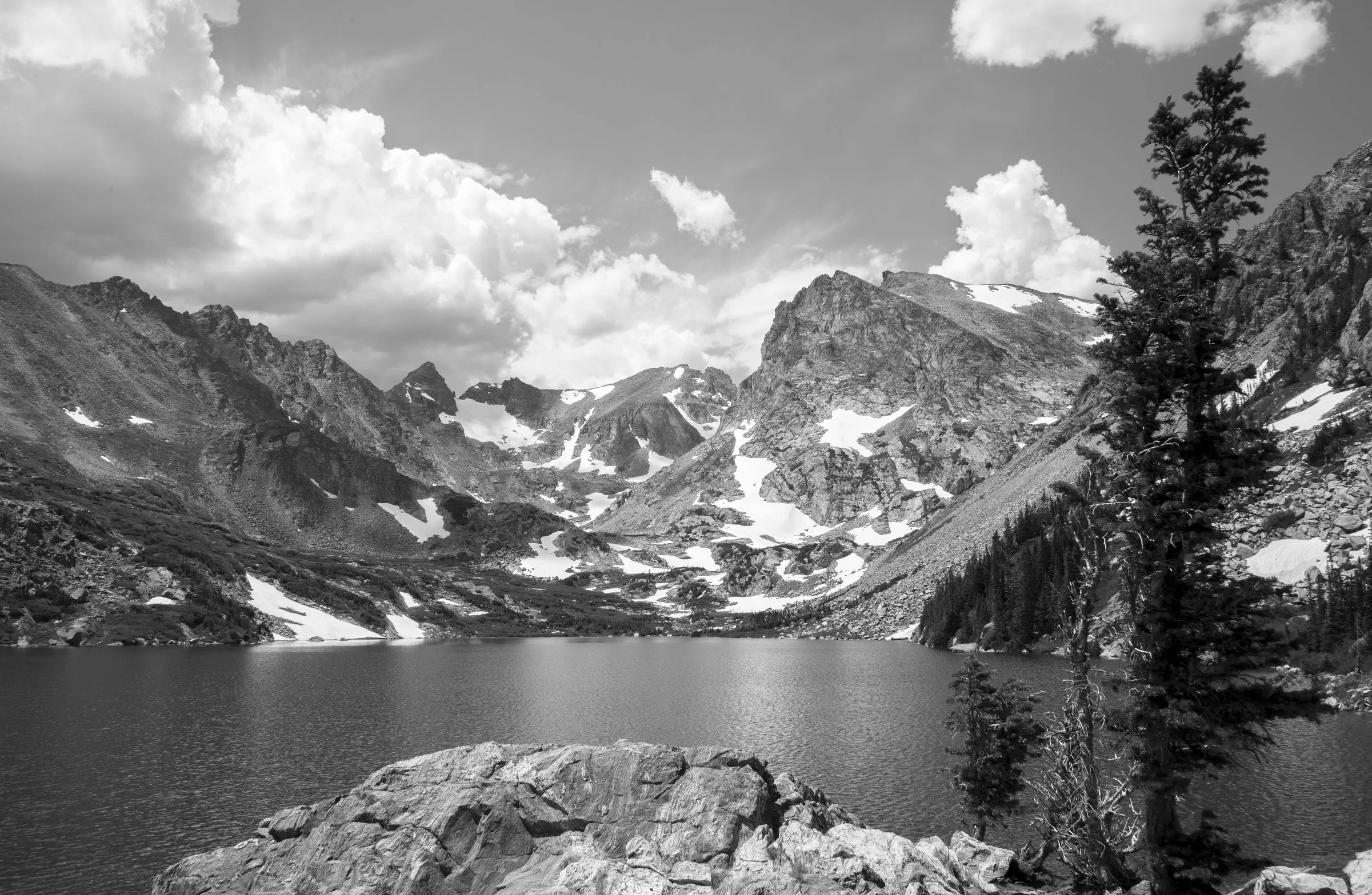 _DSC1684.jpg