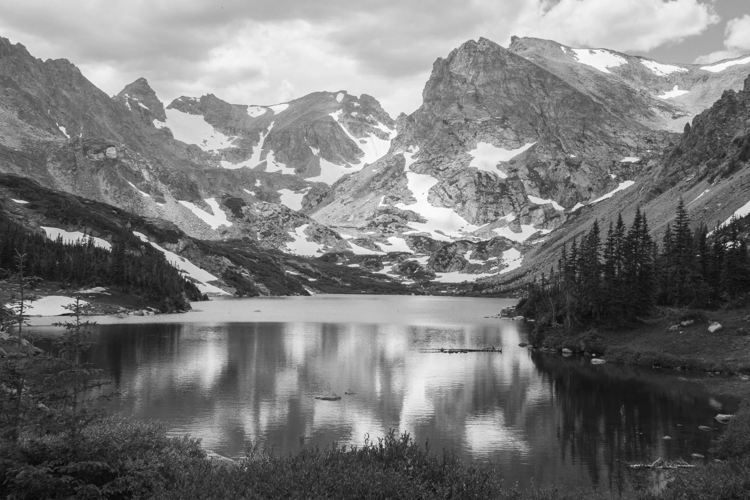 _DSC1696.jpg