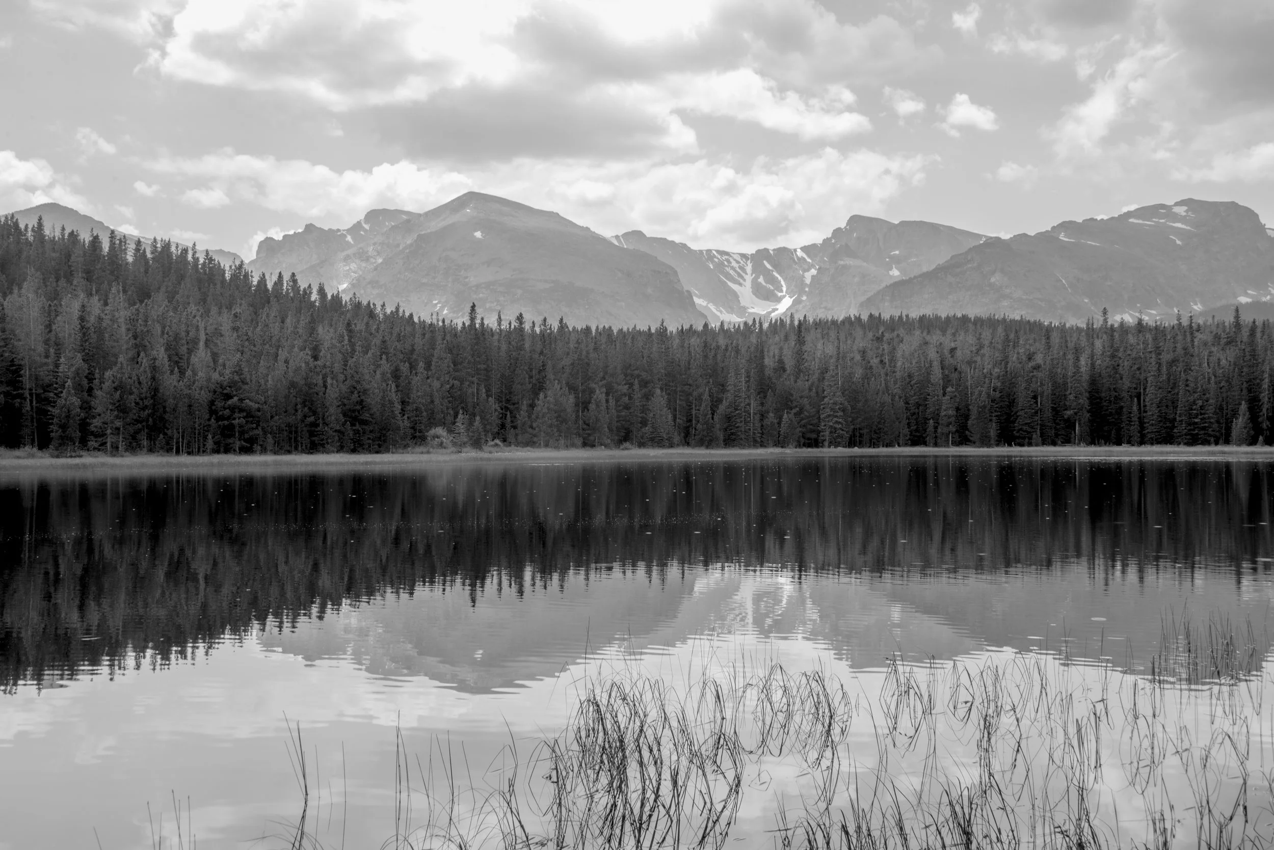 _DSC1813.jpg
