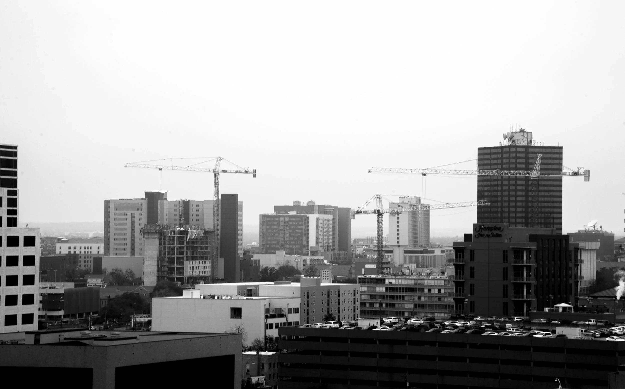 _DSC3167.jpg
