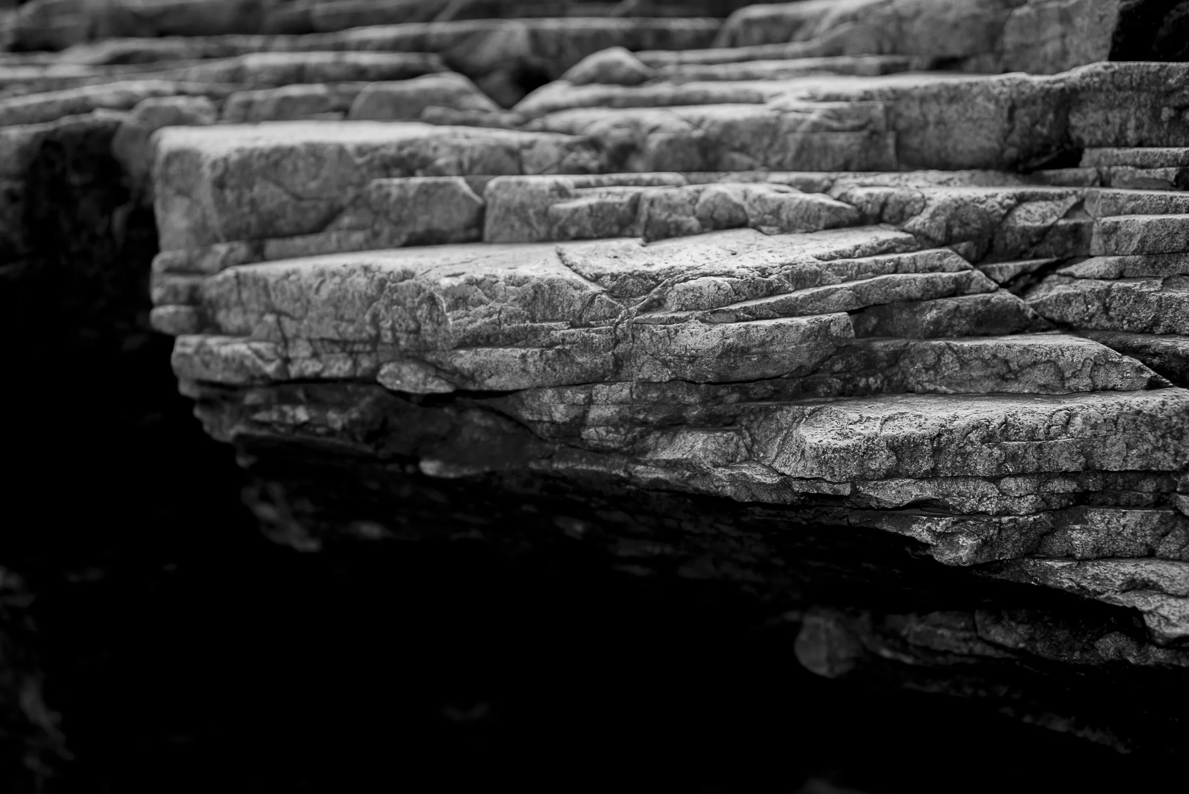 _DSC3668.jpg