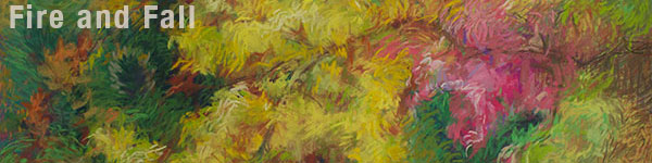 The season of fall inspires emotions of conflict and movement towards harmony. The conversations between forms and colors inspires the themes of change, contrast and movement in these works. The excitement of fall is captured by light/shadow, movement, warm fiery colors, pastel strokes, push and pull and flow of energy.