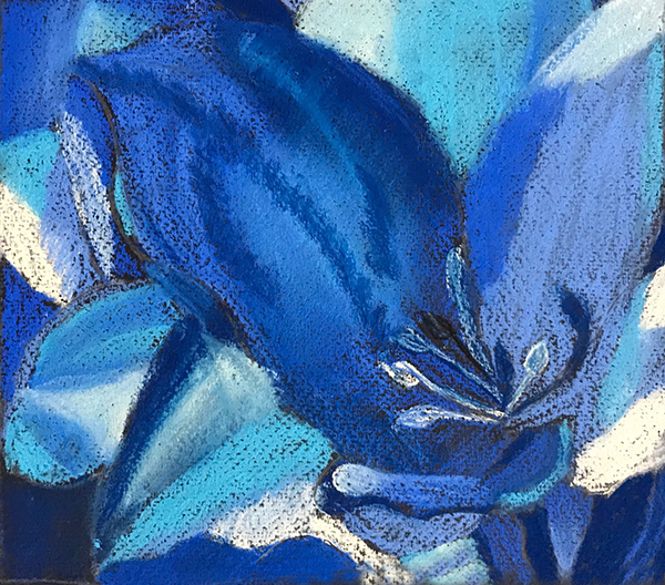 Deeksha has created a strong composition and used bold, contrasting, abstract shapes in this beautiful pastel.