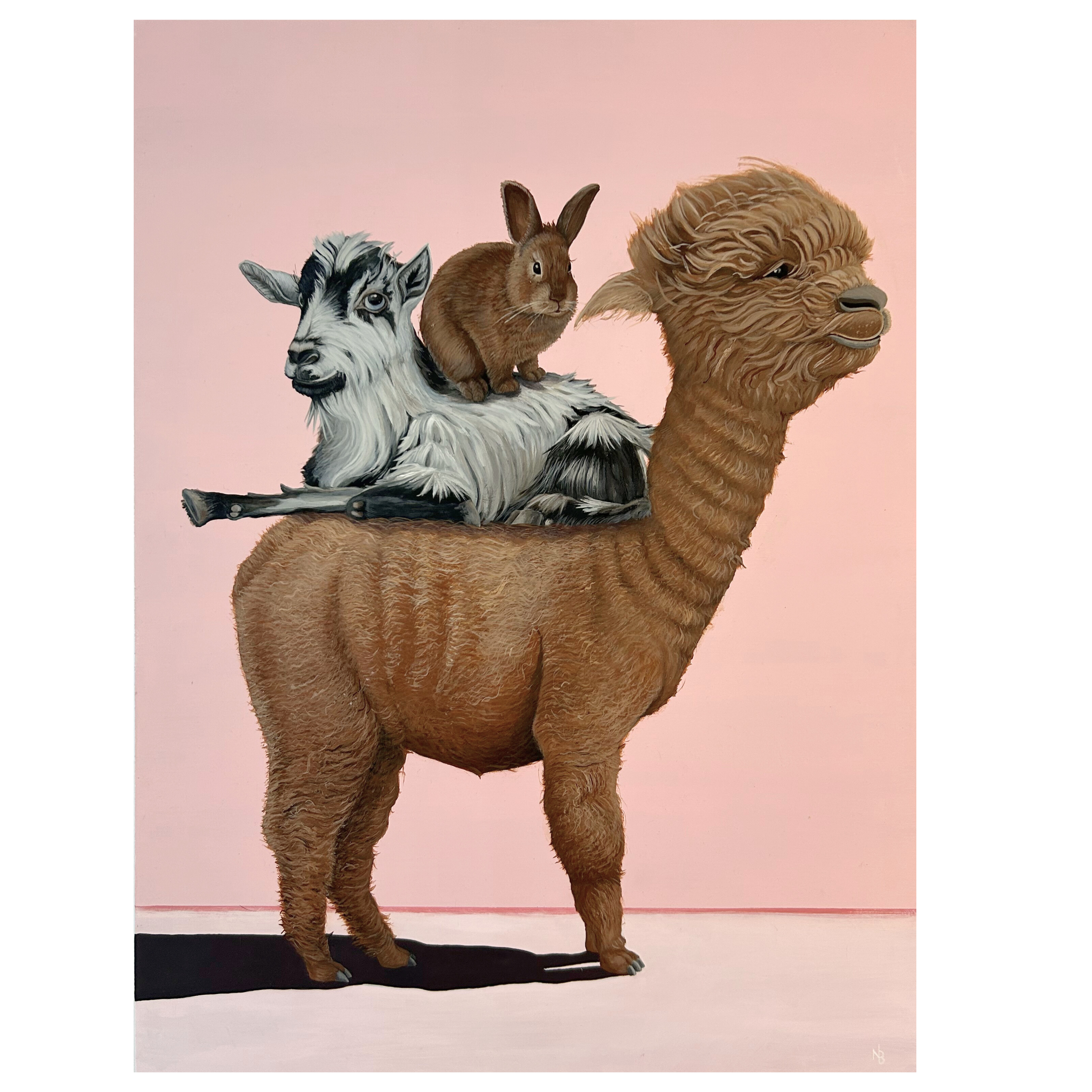 All Aboard The Aplaca