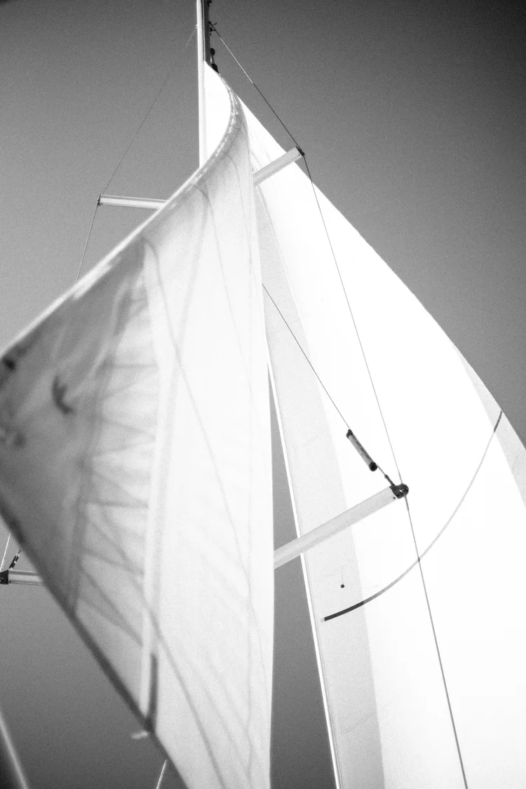 IMG_8614.jpg
