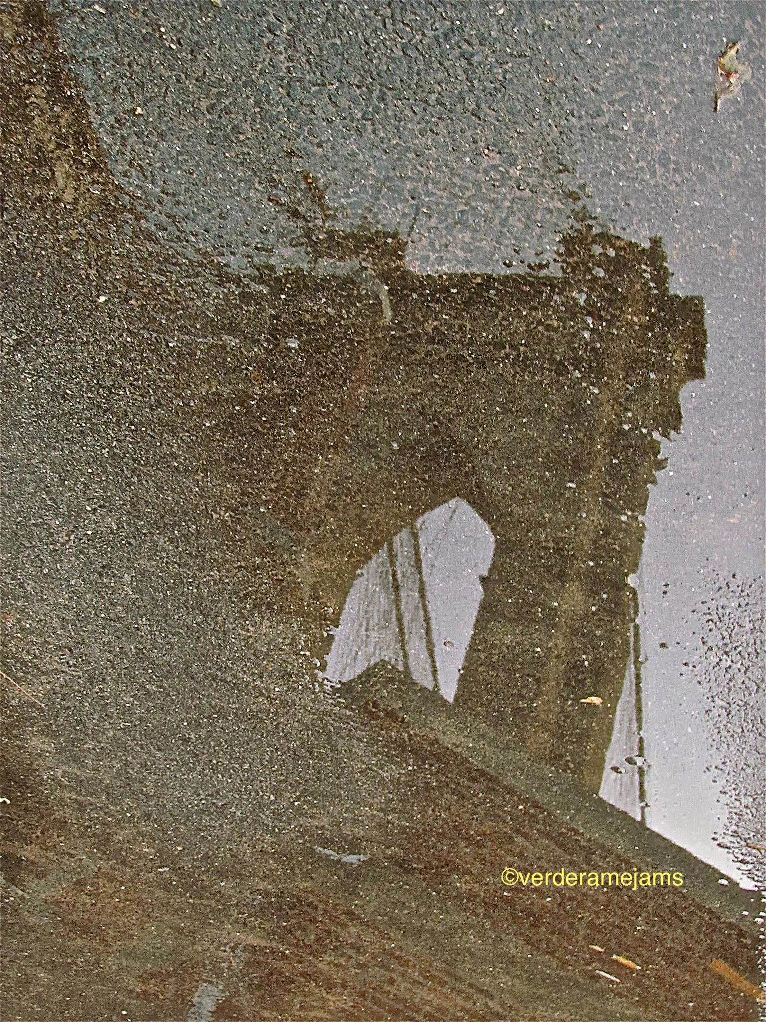 1102594_10151664049457928_1104827790_o (1).jpg