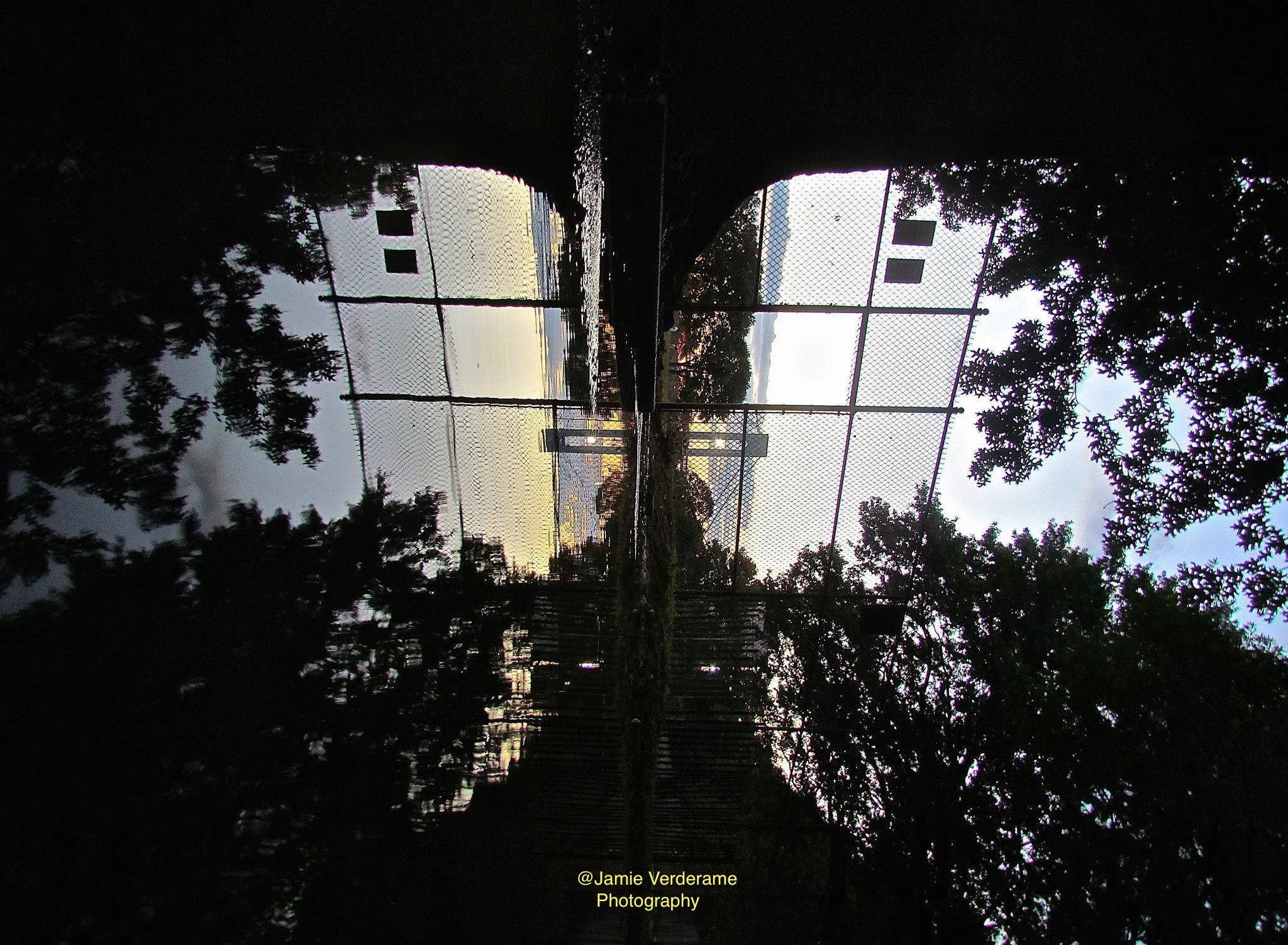 1617128_10152084966582928_1295227090_o (1).jpg