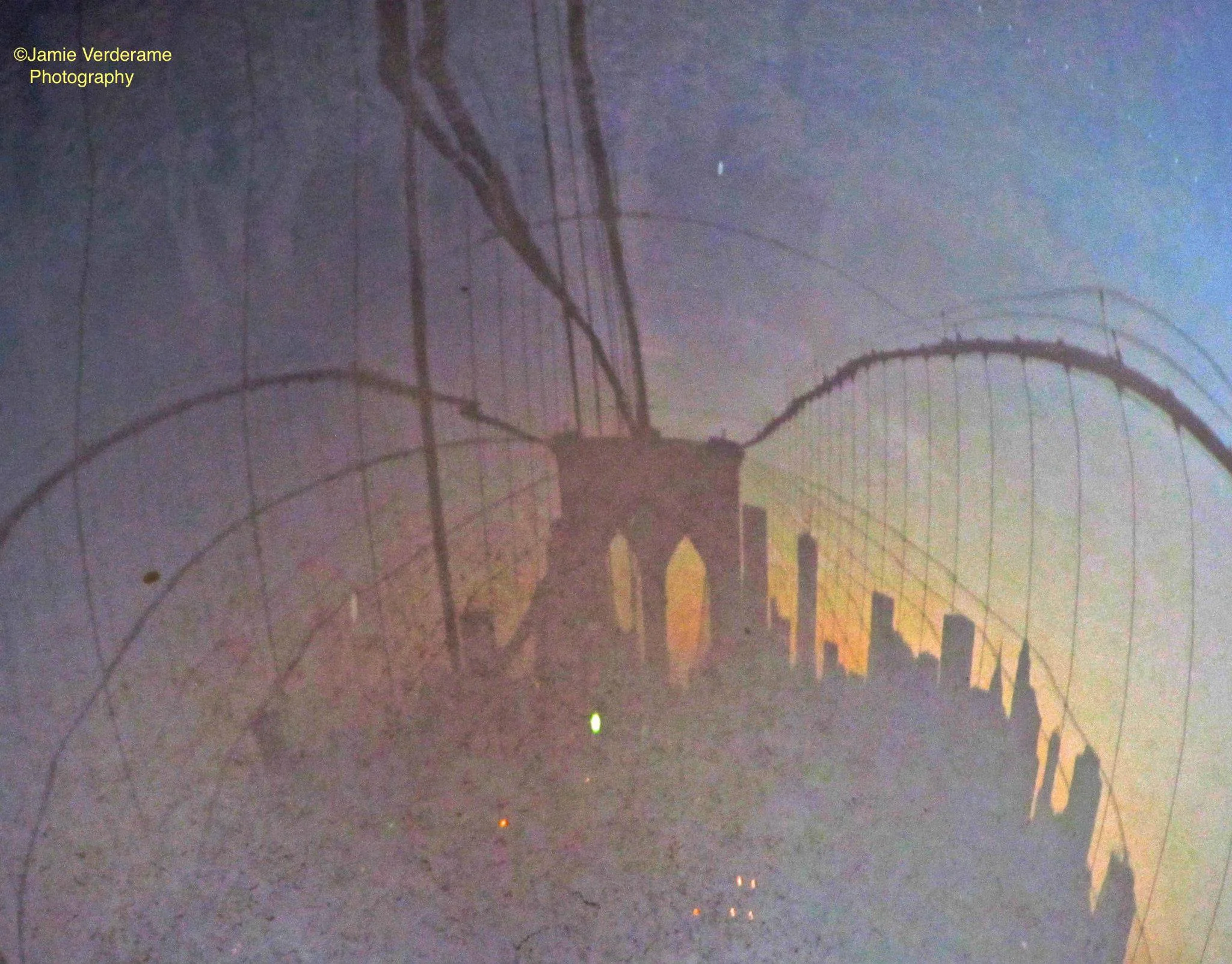 1891476_10152087893247928_2001462539_o copy.jpg