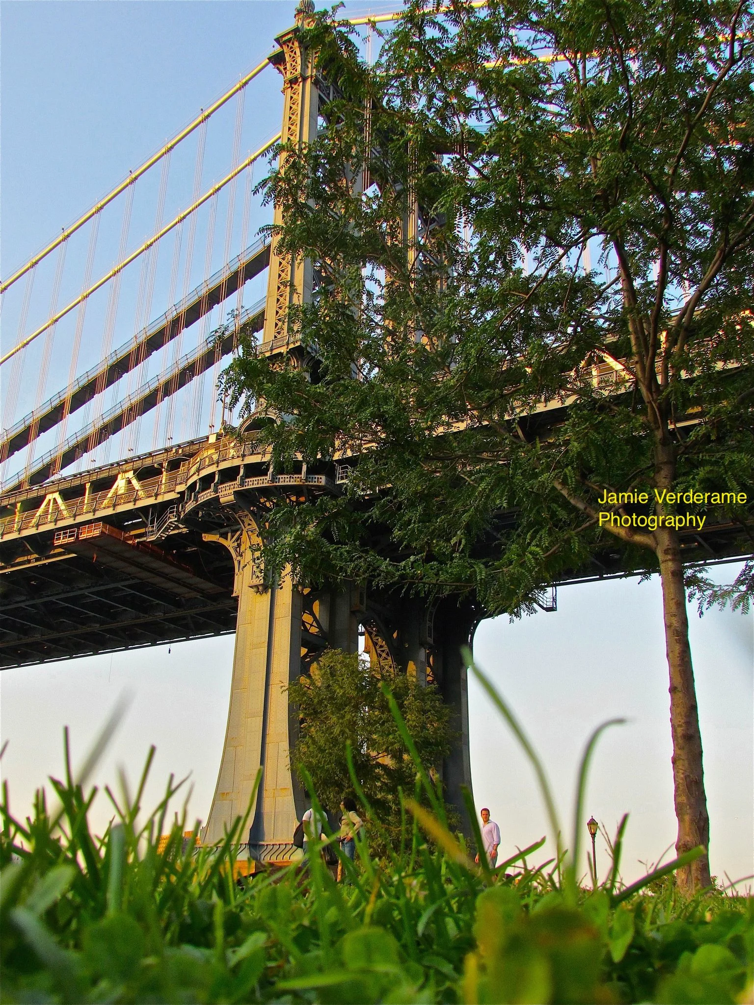 469975_10150933042307928_1526201155_o 2.jpg