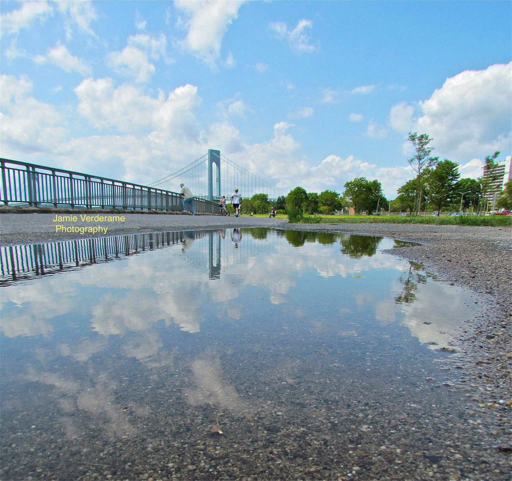 1911199_10152084966512928_640602101_o copy.jpg