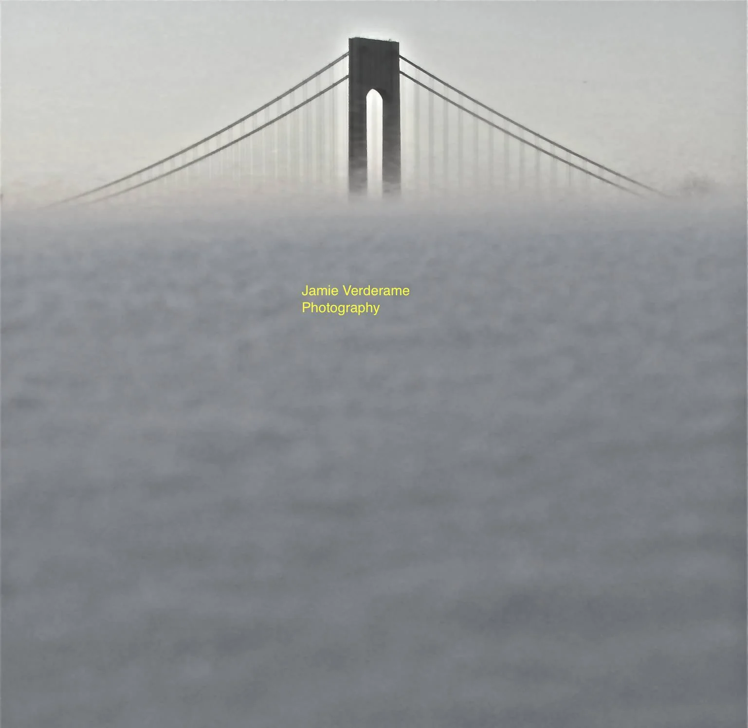 1487823_10151986679227928_1352225185_o copy.jpg