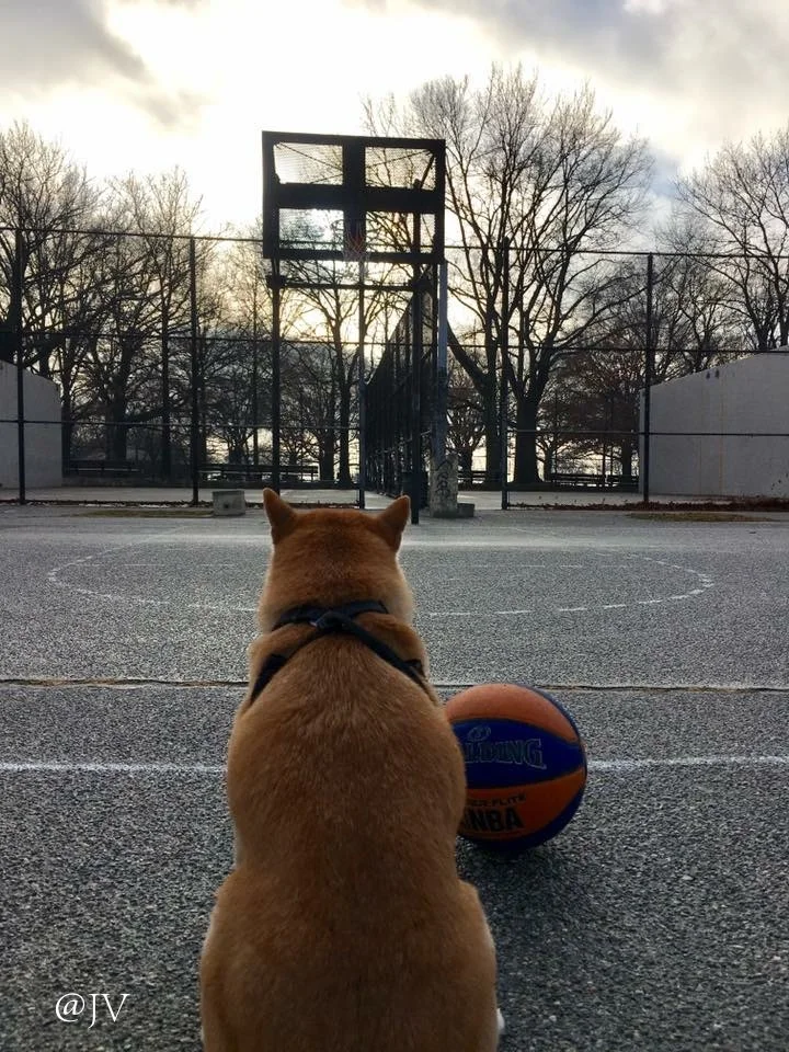 ODIN BASKETBALL.jpeg