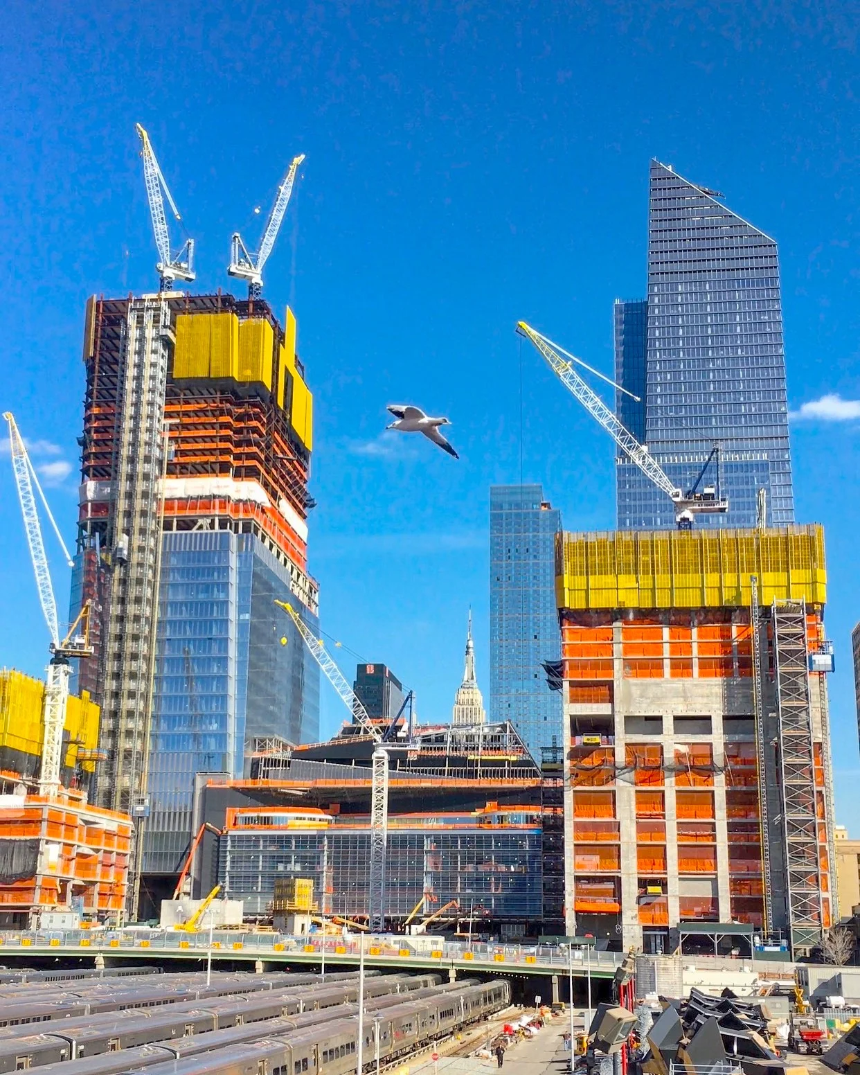 CONSTRUCTION WM.jpeg