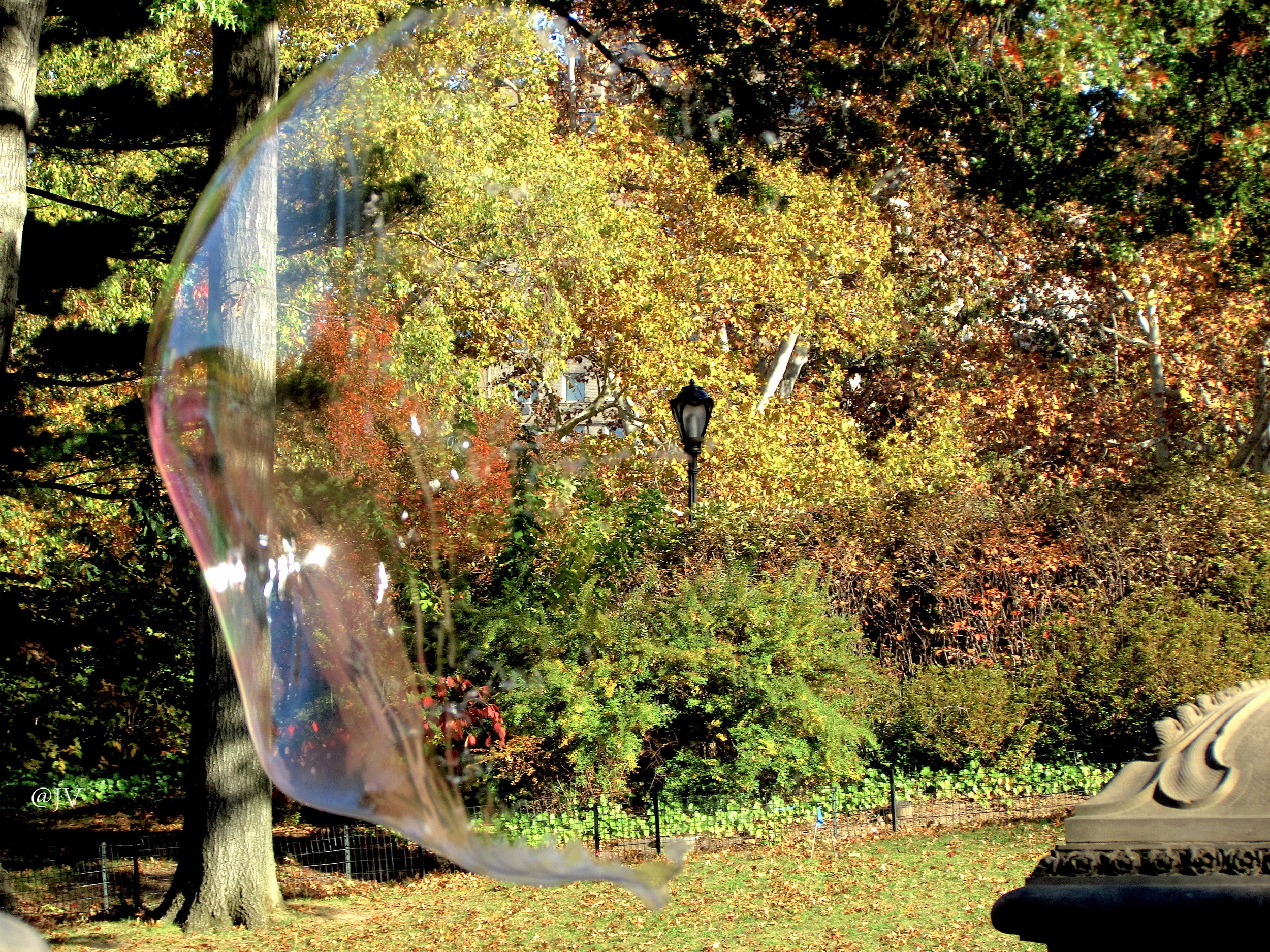 BUBBLE BURST WM copy.jpg