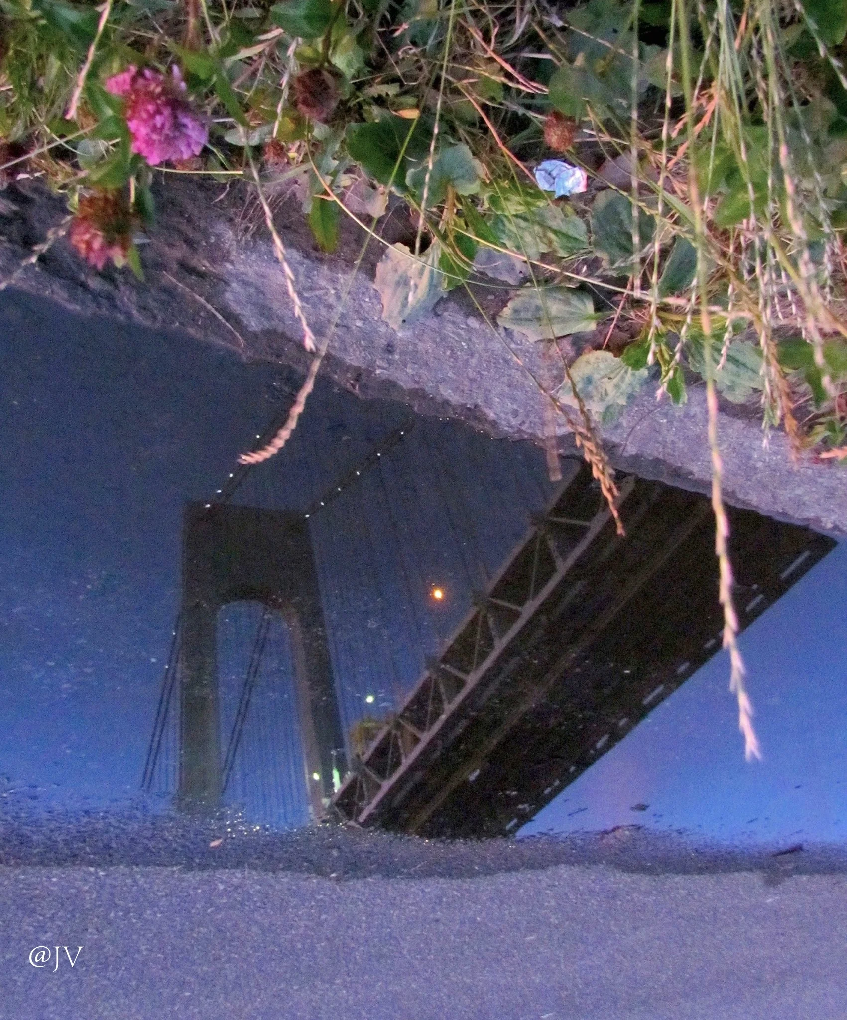 VERA REFLECT PUDDLE WM.jpeg