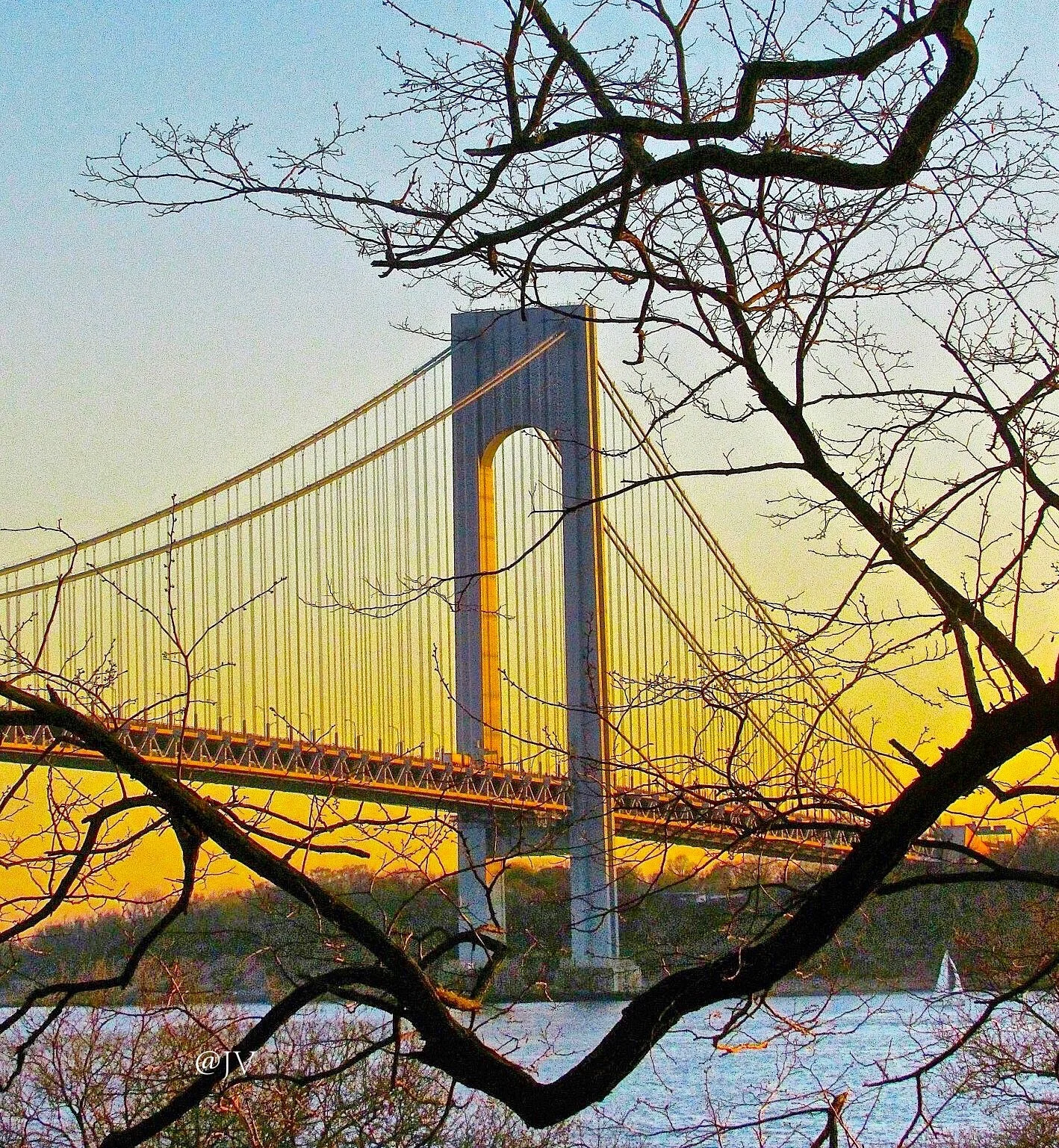 VERRAZANO TREES FRAME WM .jpeg