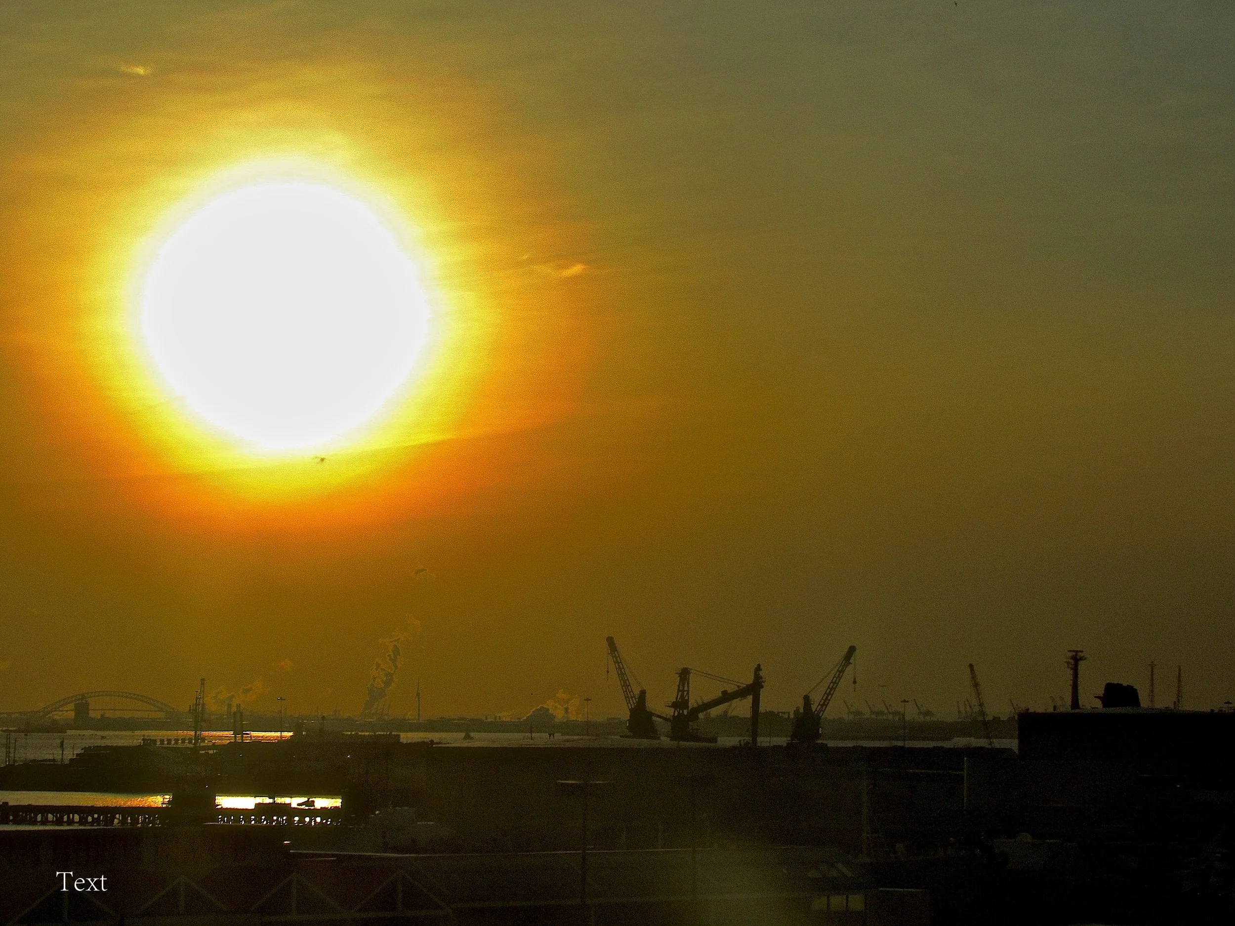 big sun industry wm .jpeg