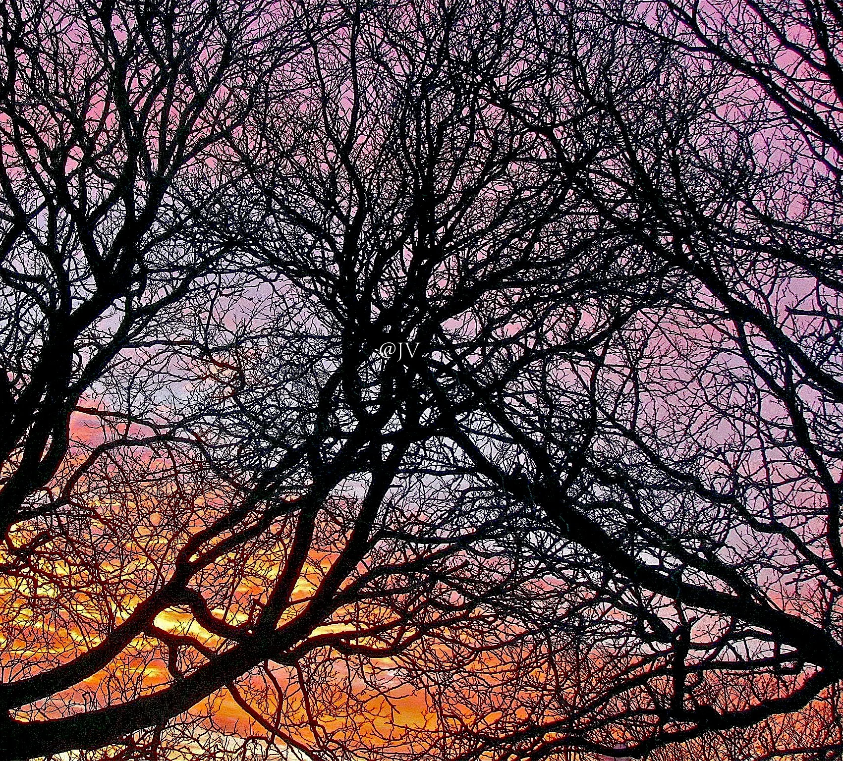 IMG_1132 copy WM.jpeg