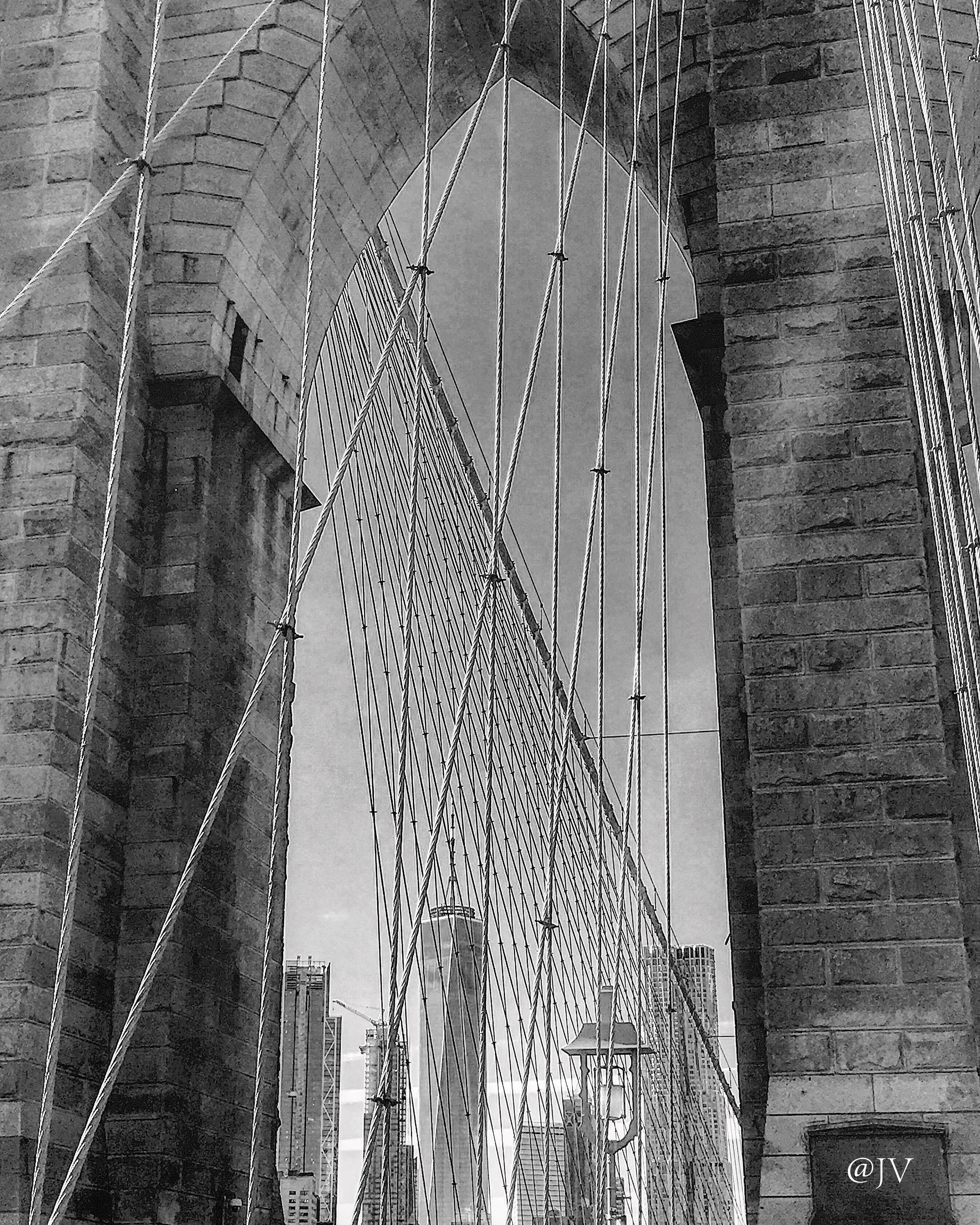 IMG_1689 copyWM.jpeg