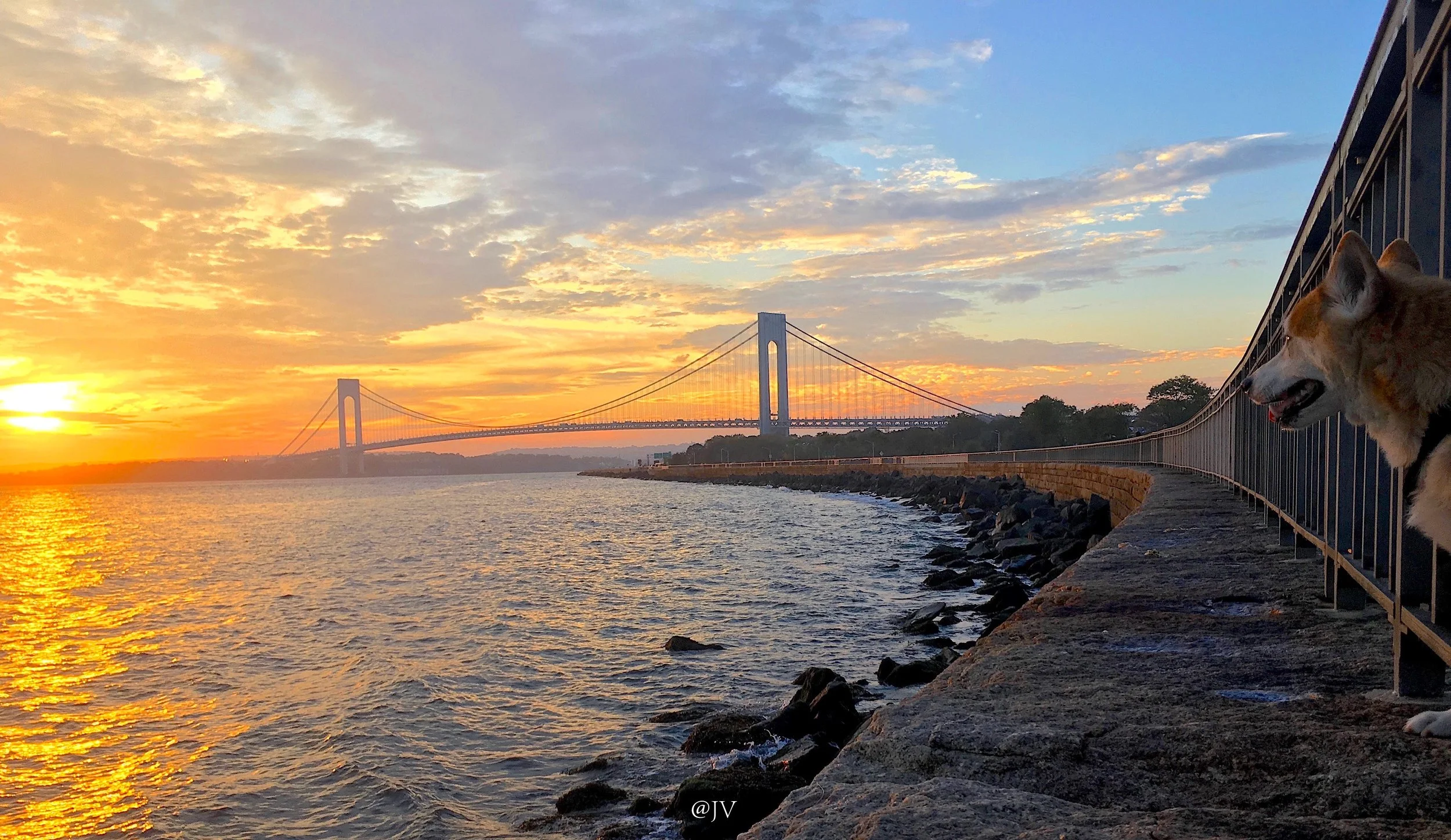 IMG_2102 copyWM.jpeg