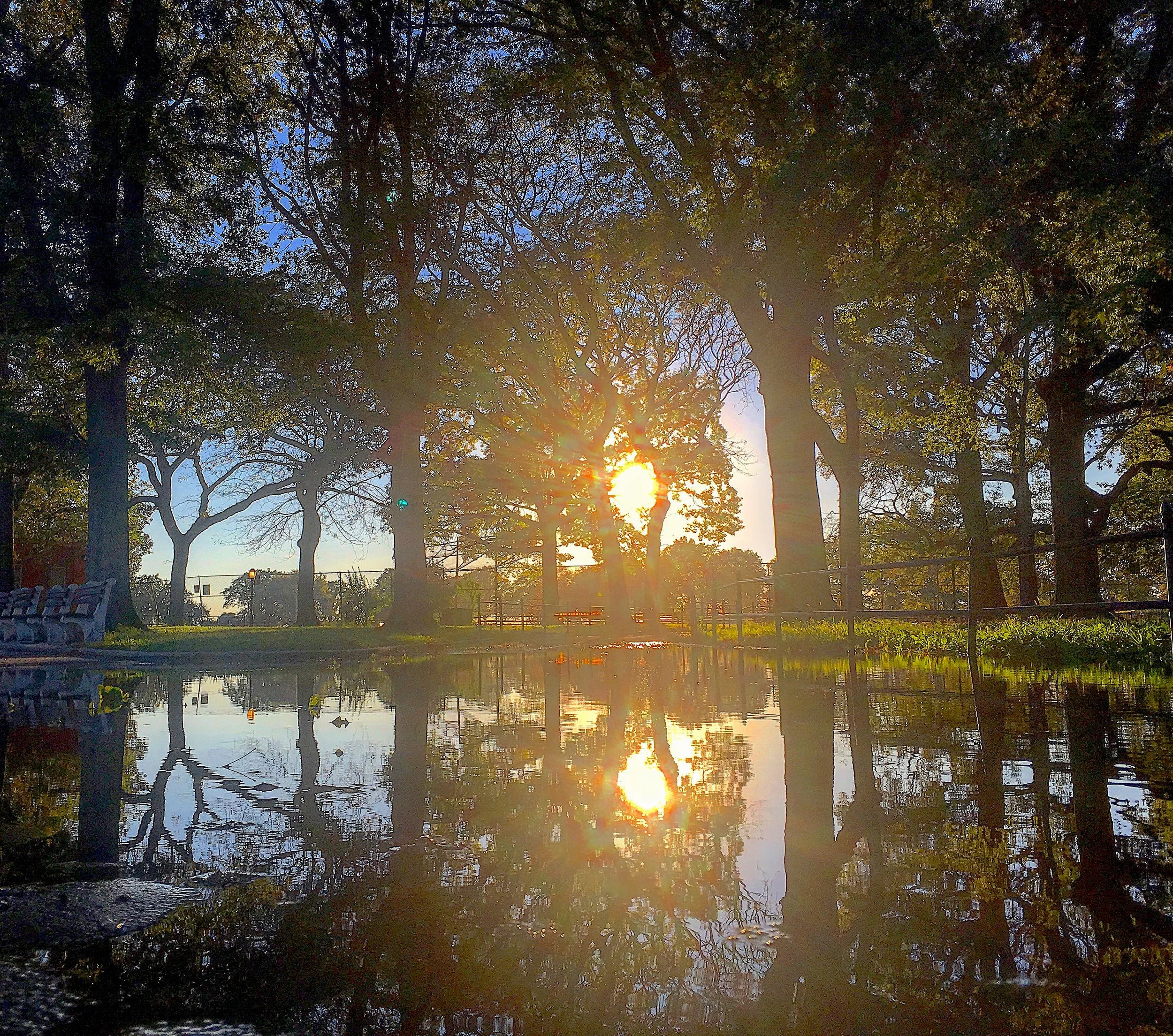 IMG_3380 WMcopy.jpeg