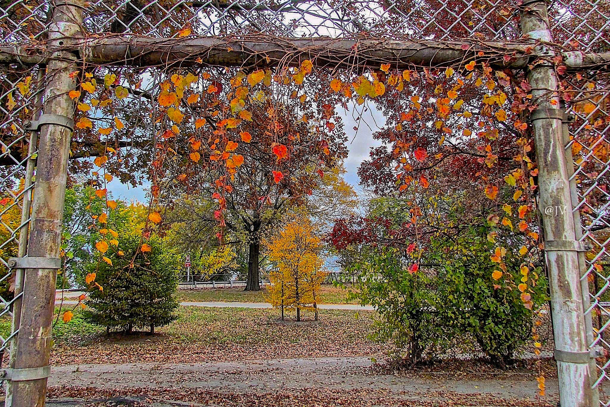 IMG_4120 WMcopy.jpeg