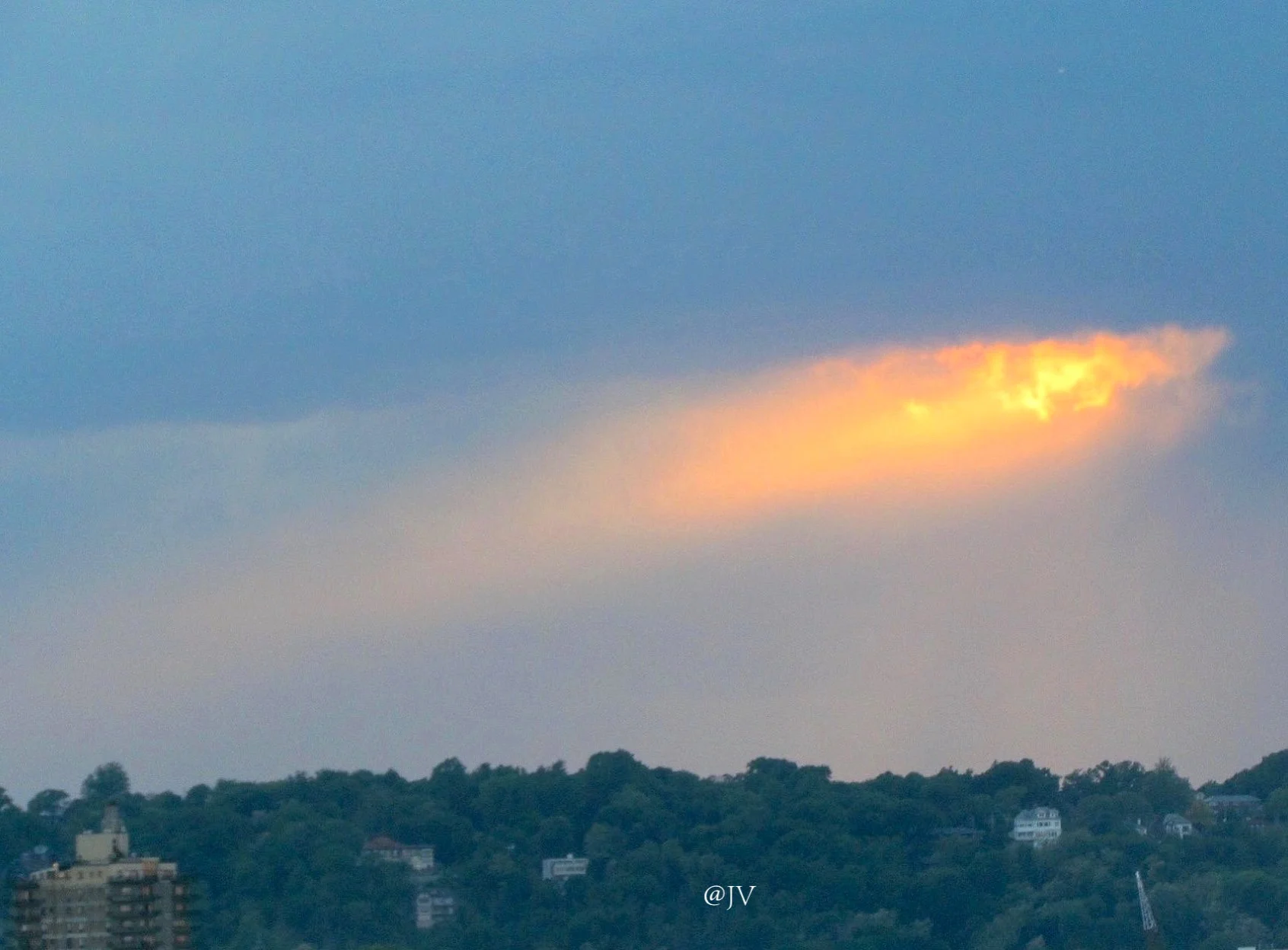 IMG_2289 WMcopy.jpeg