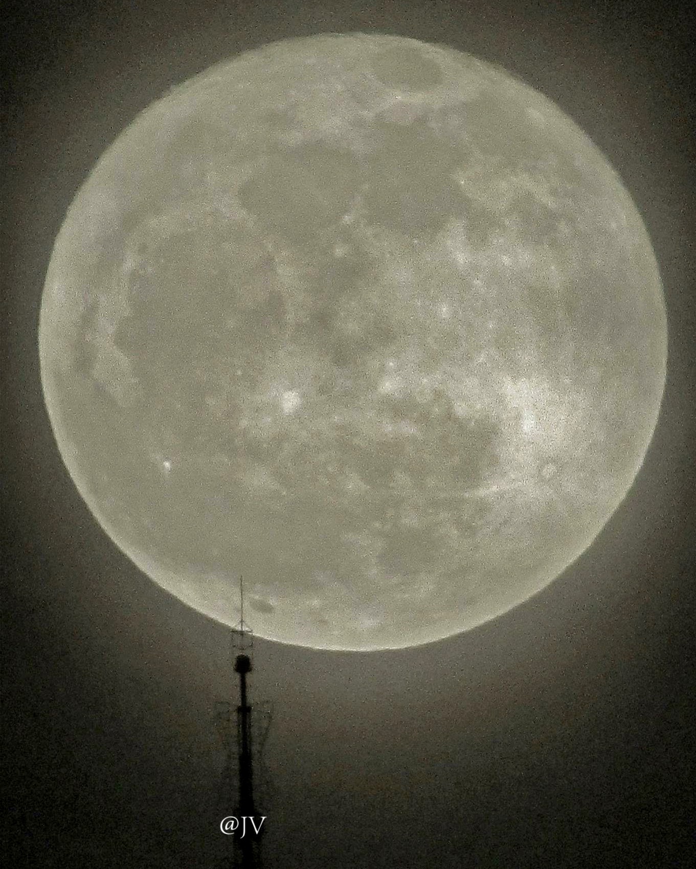 IMG_0904 WMcopy.jpeg