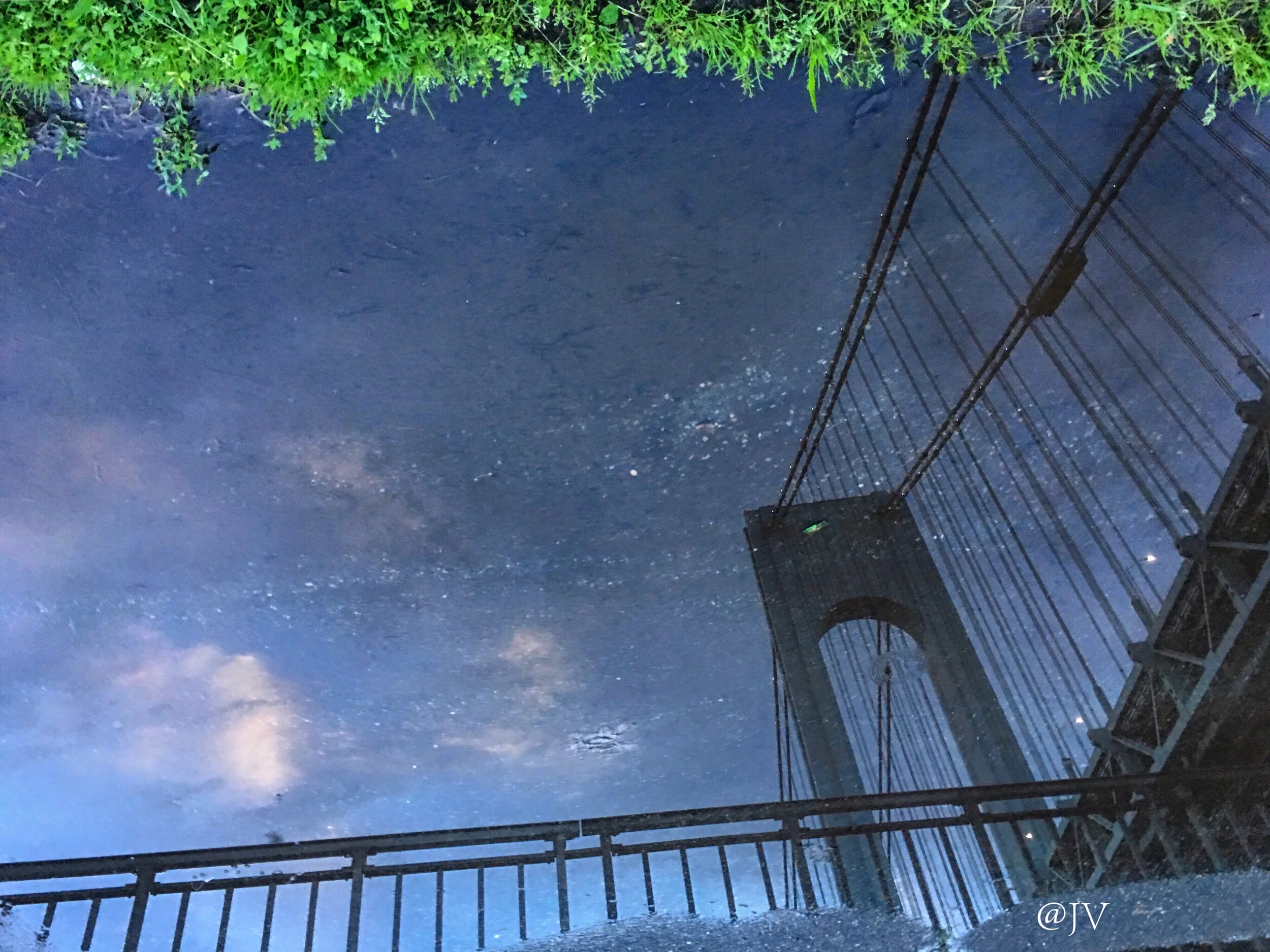 Verra reflect grasss copy.jpg